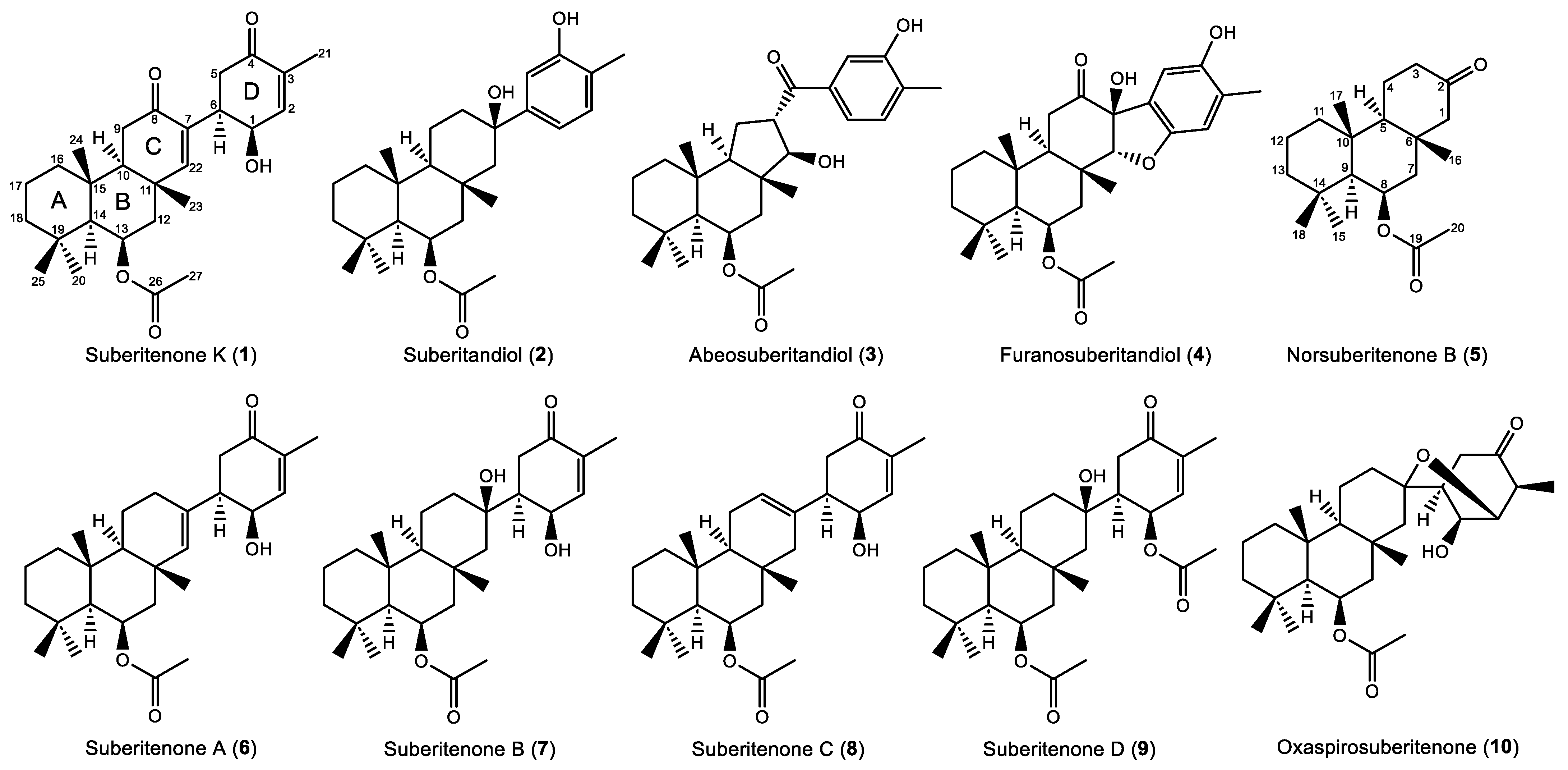 Marinedrugs 22 00551 g001