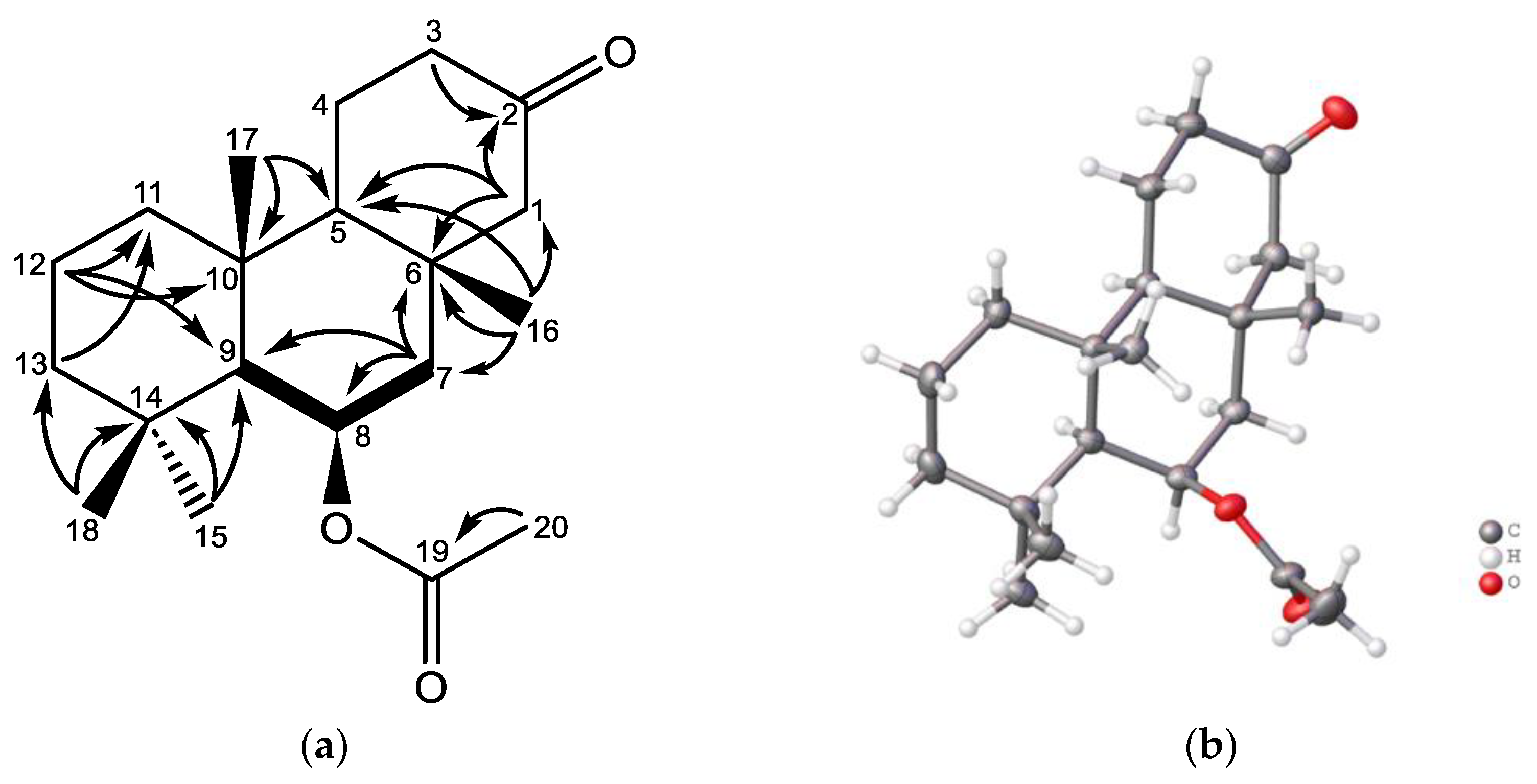 Marinedrugs 22 00551 g004