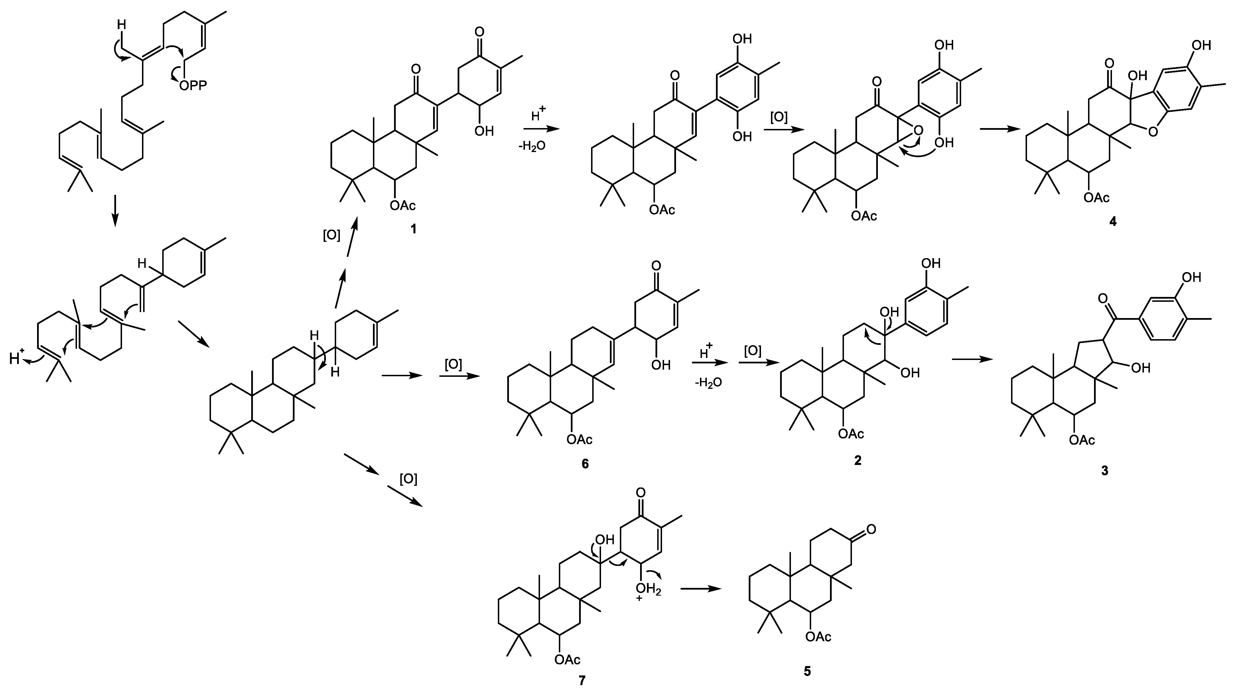 Marinedrugs 22 00551 g005