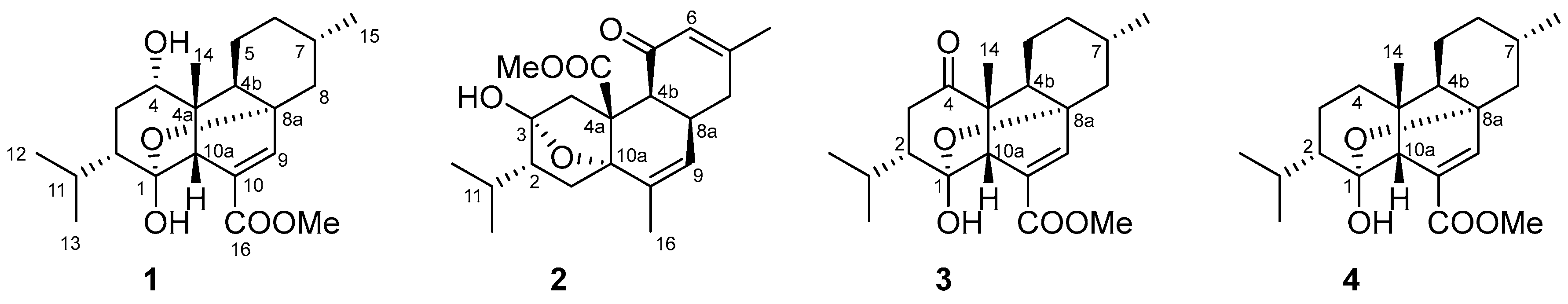 Marinedrugs 22 00553 g001