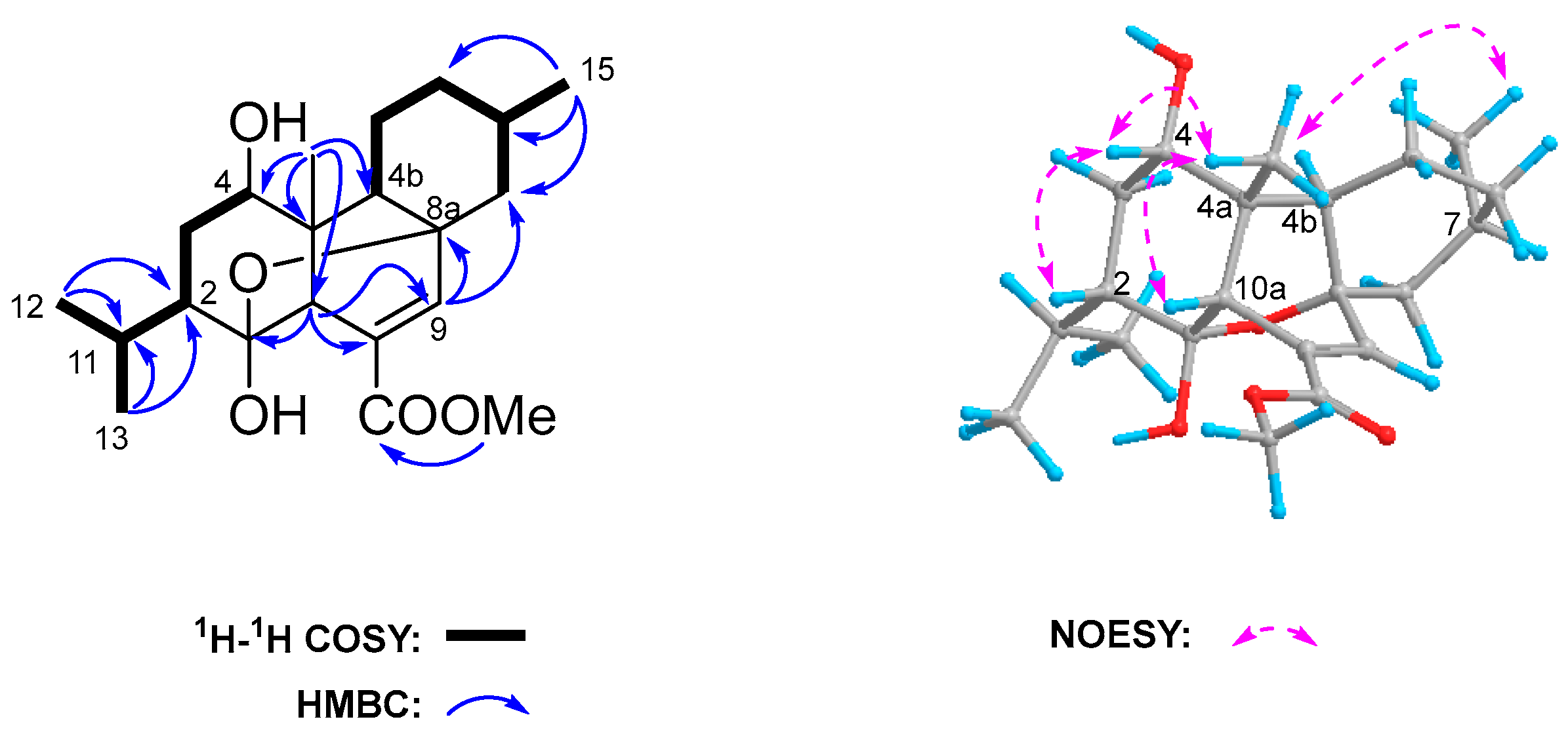 Marinedrugs 22 00553 g002