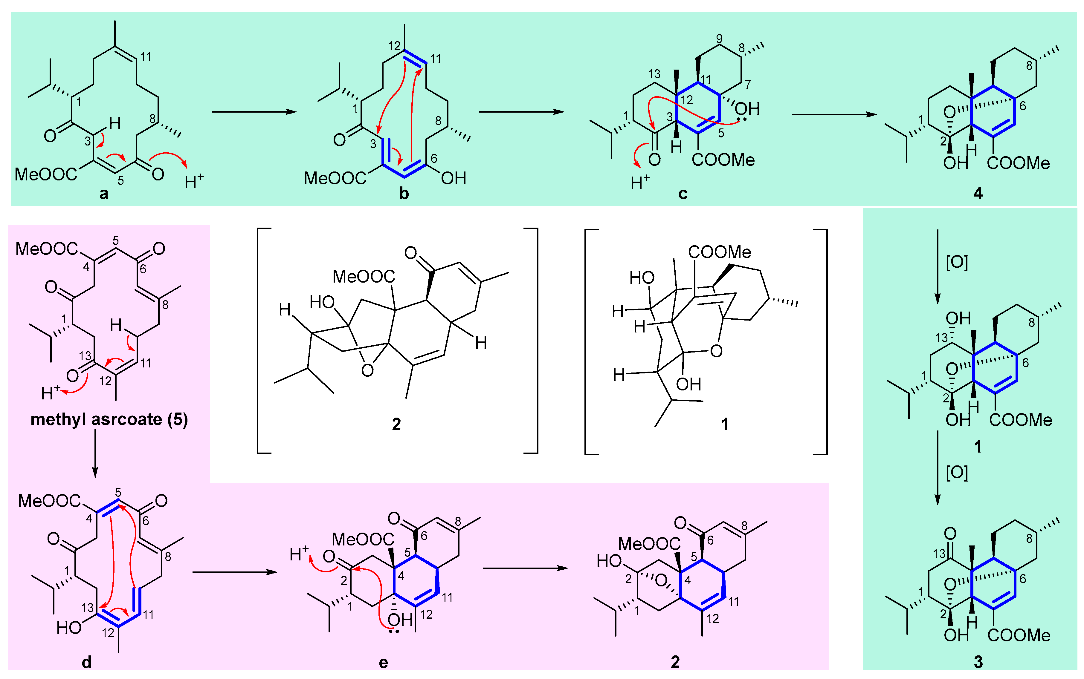 Marinedrugs 22 00553 sch001