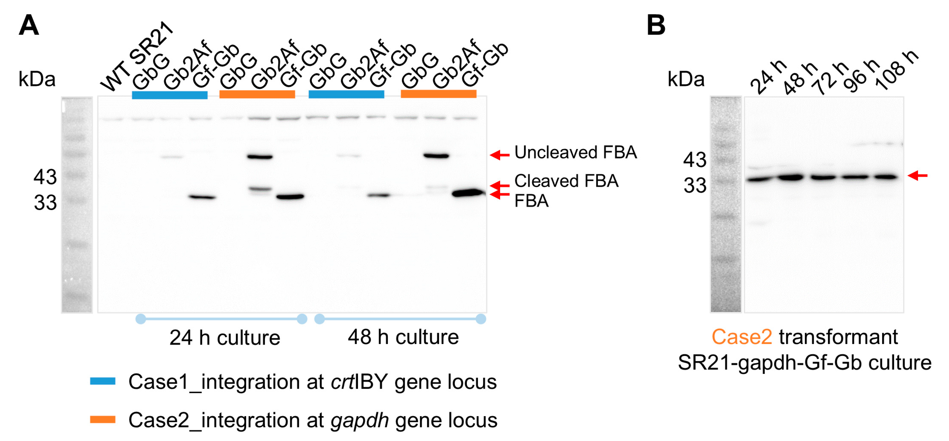 Marinedrugs 22 00555 g002