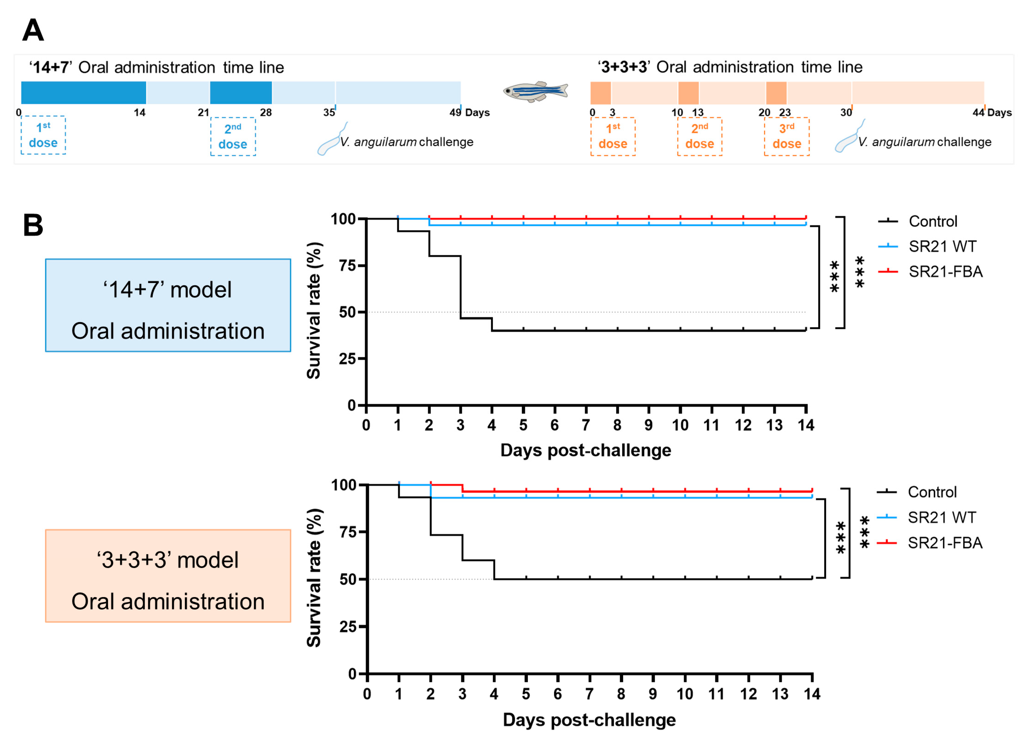 Marinedrugs 22 00555 g007