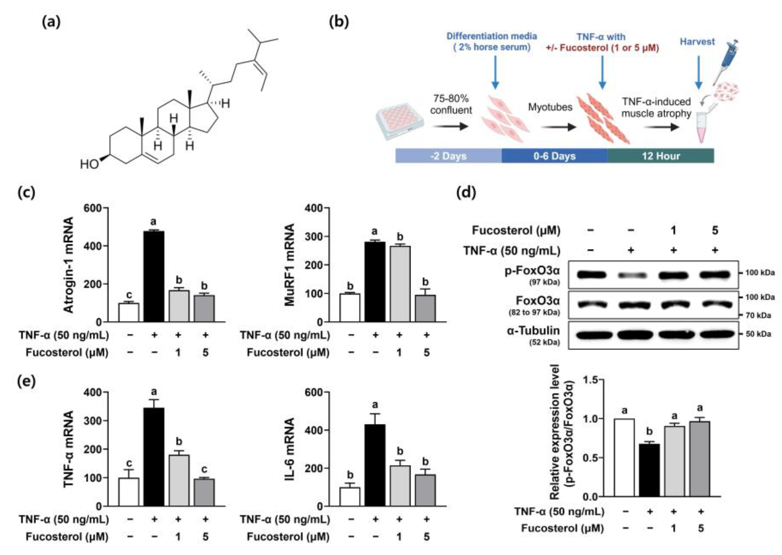 Marinedrugs 22 00557 g001