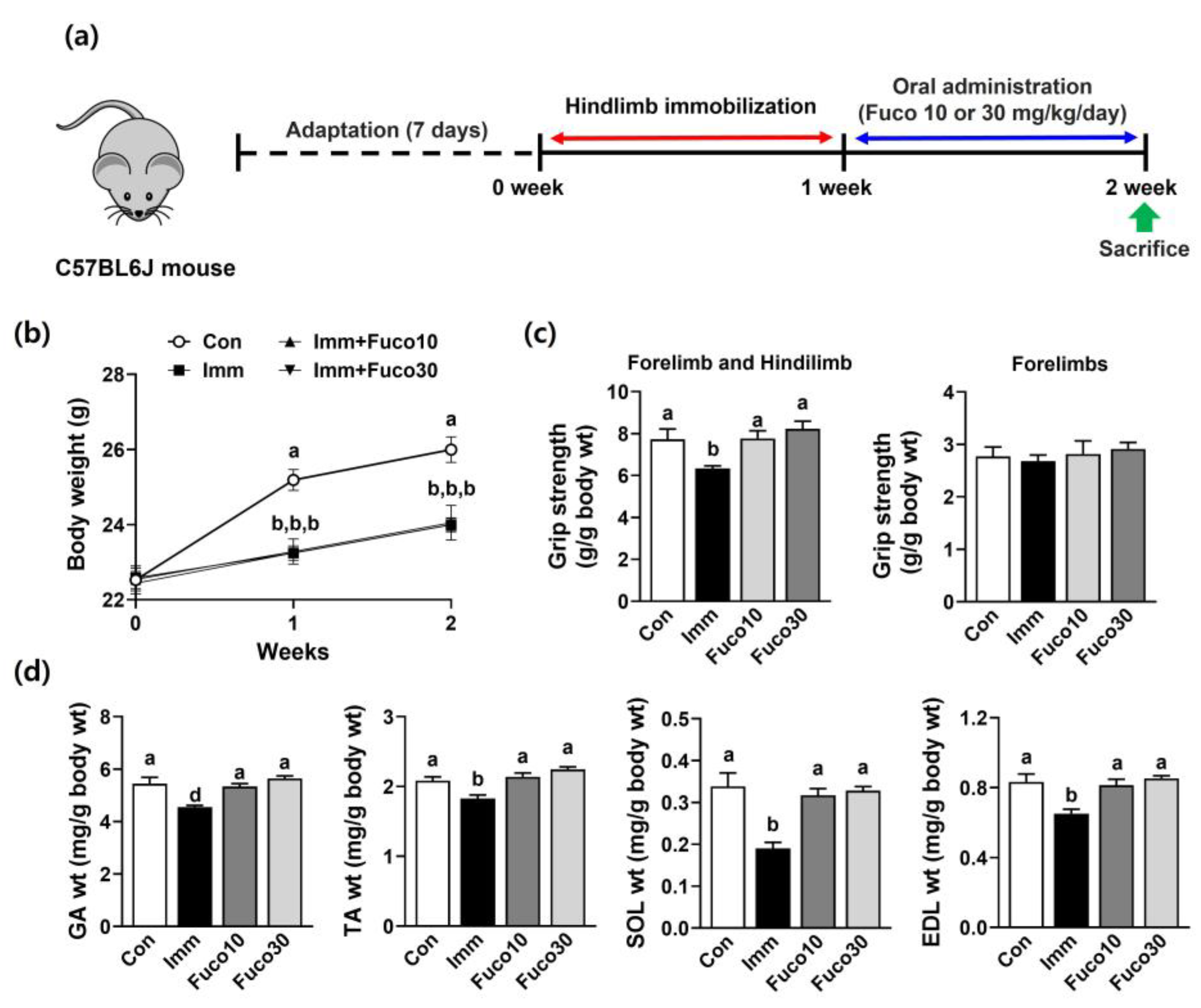 Marinedrugs 22 00557 g003