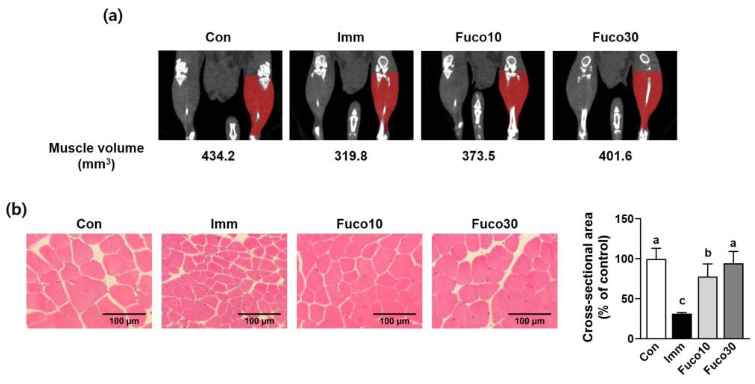 Marinedrugs 22 00557 g004