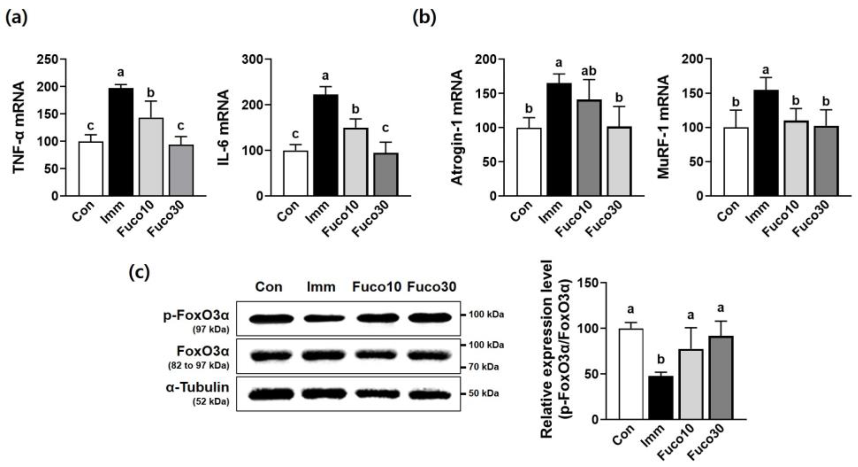 Marinedrugs 22 00557 g005