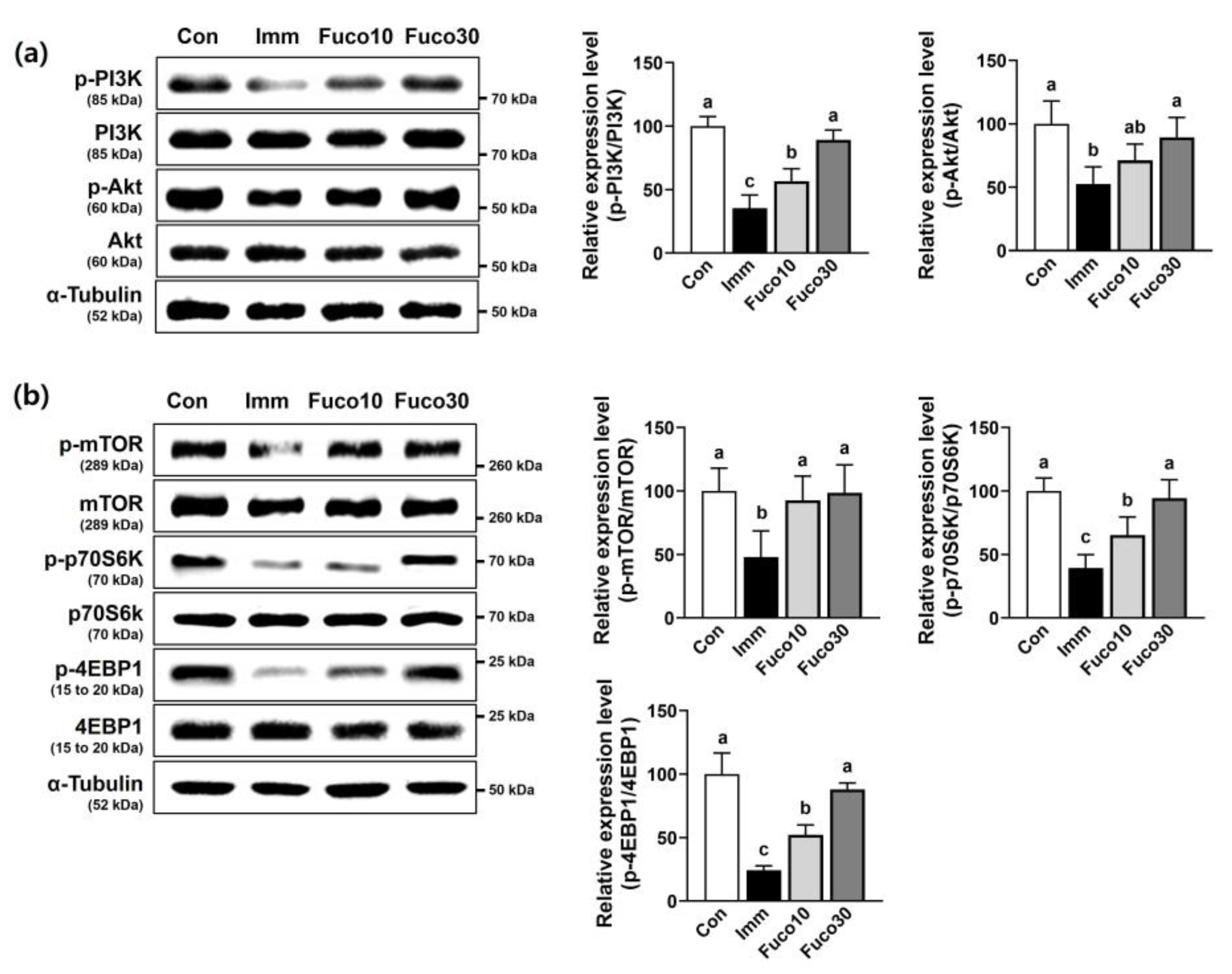 Marinedrugs 22 00557 g006