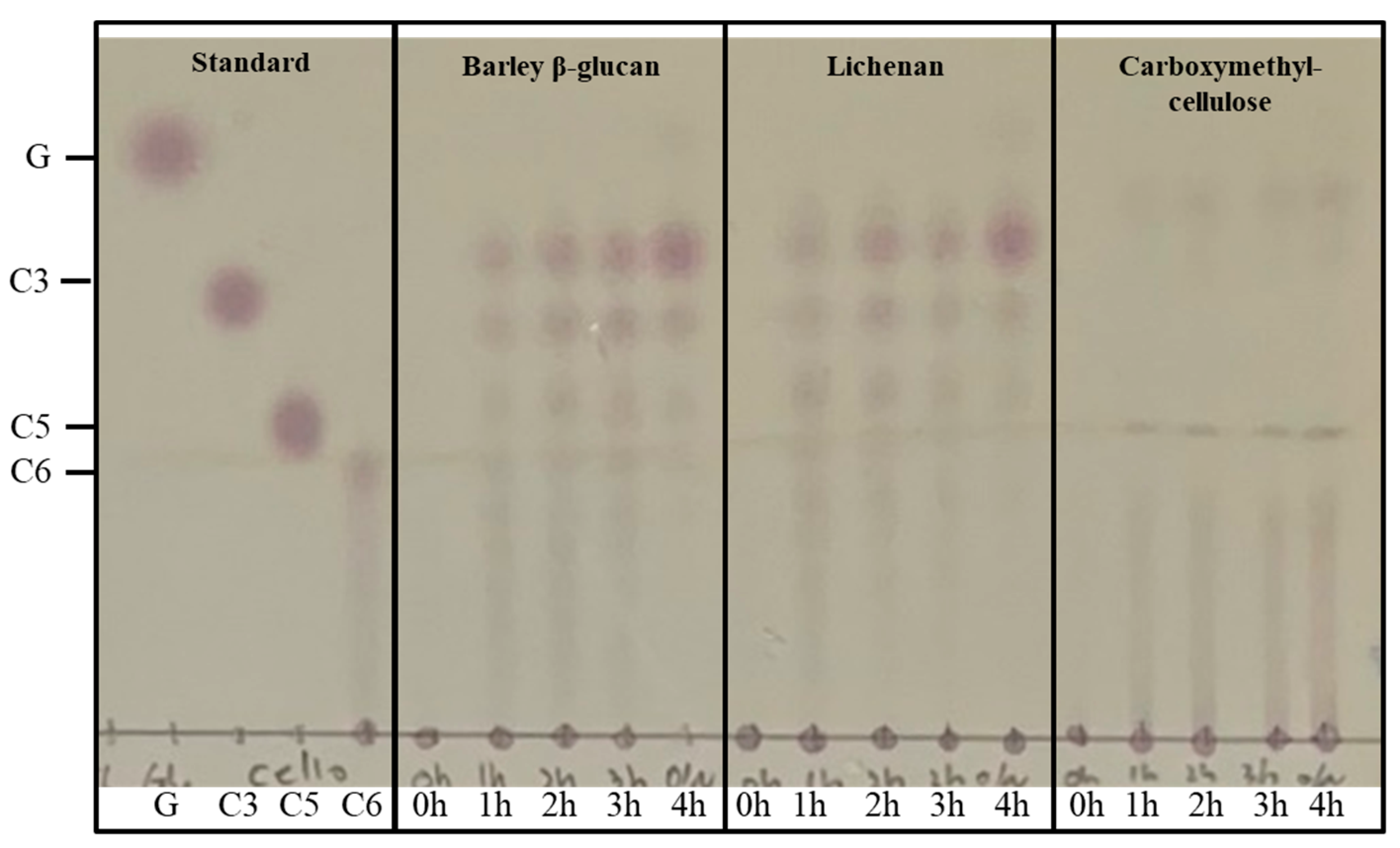 Marinedrugs 22 00558 g004
