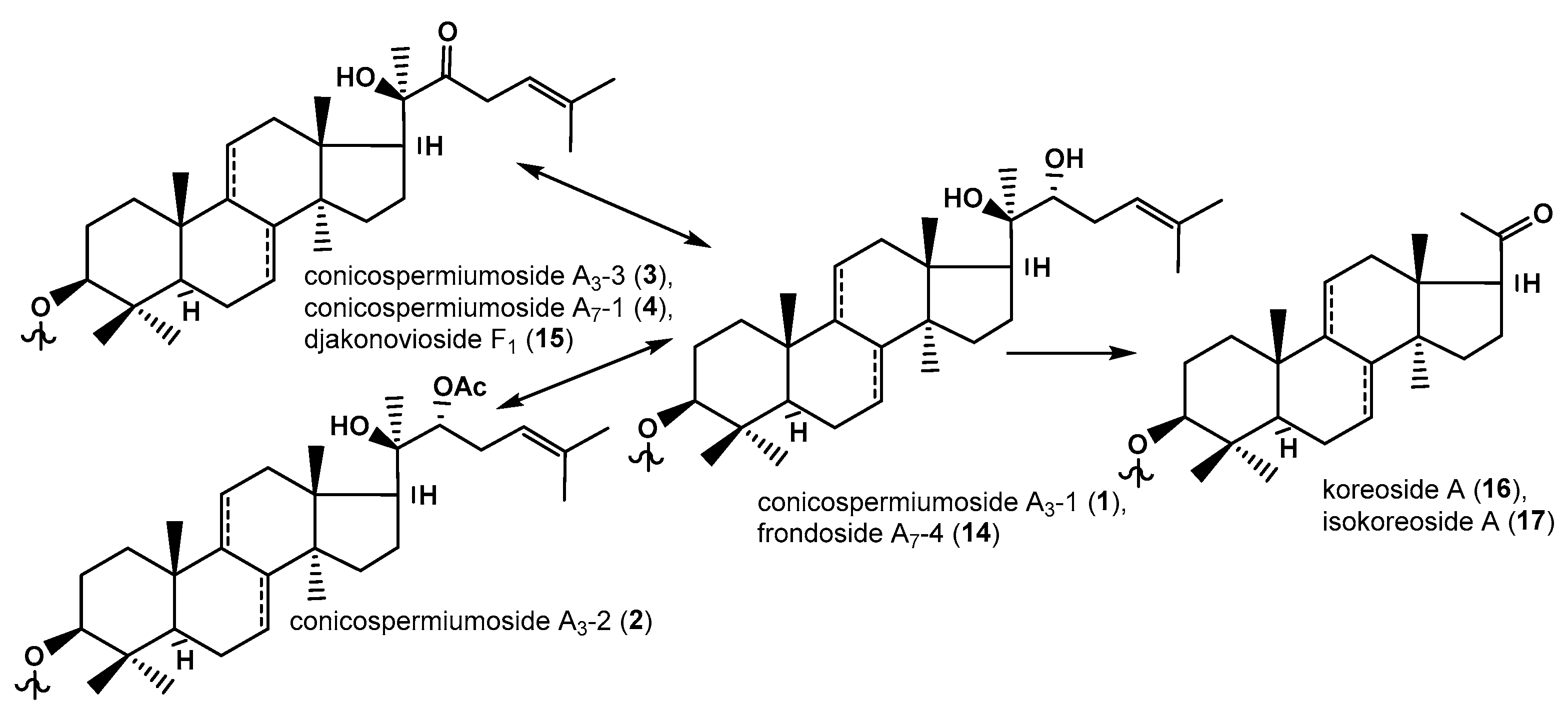 Marinedrugs 22 00560 g005