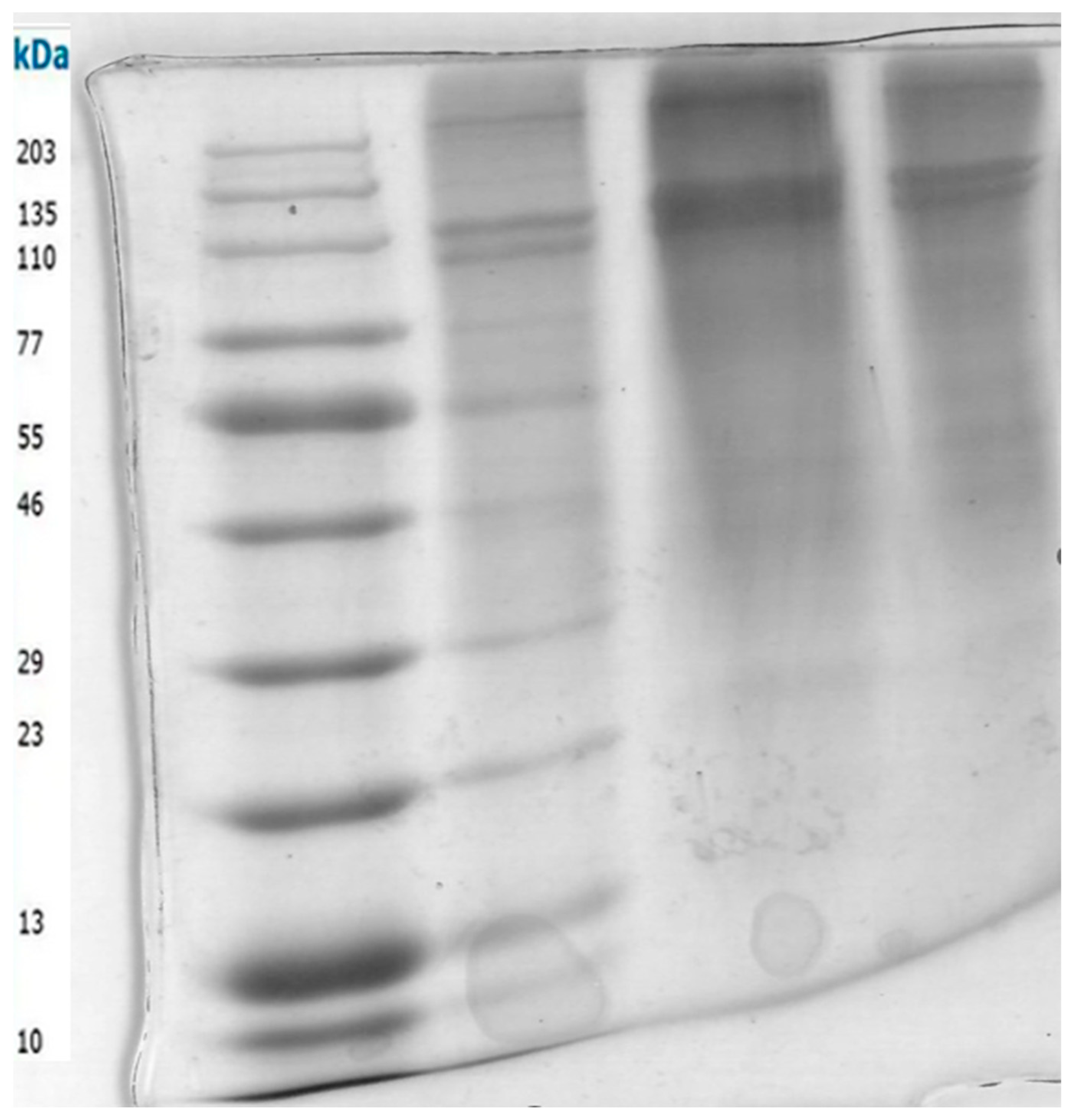 Marinedrugs 22 00562 g003