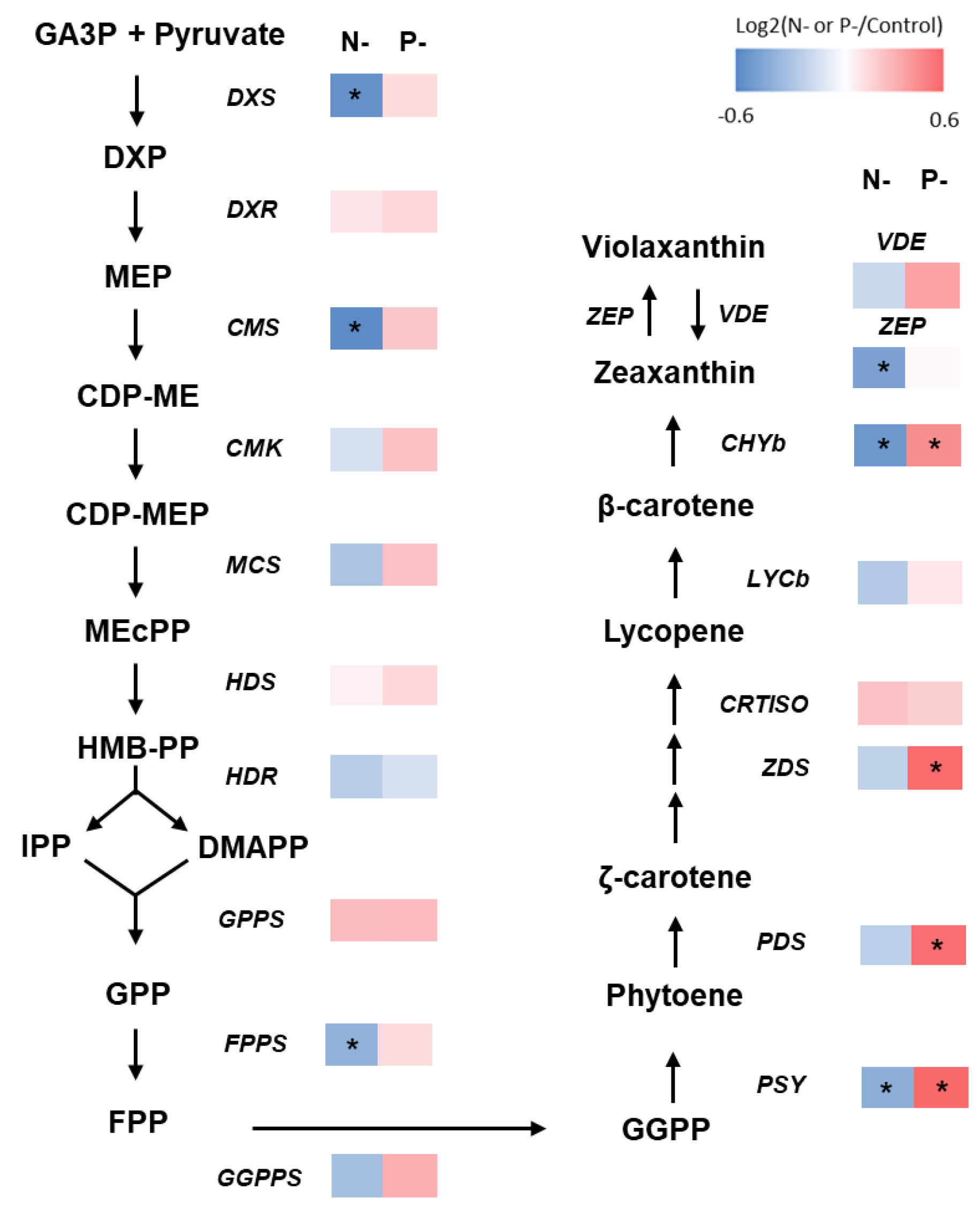 Marinedrugs 22 00567 g006