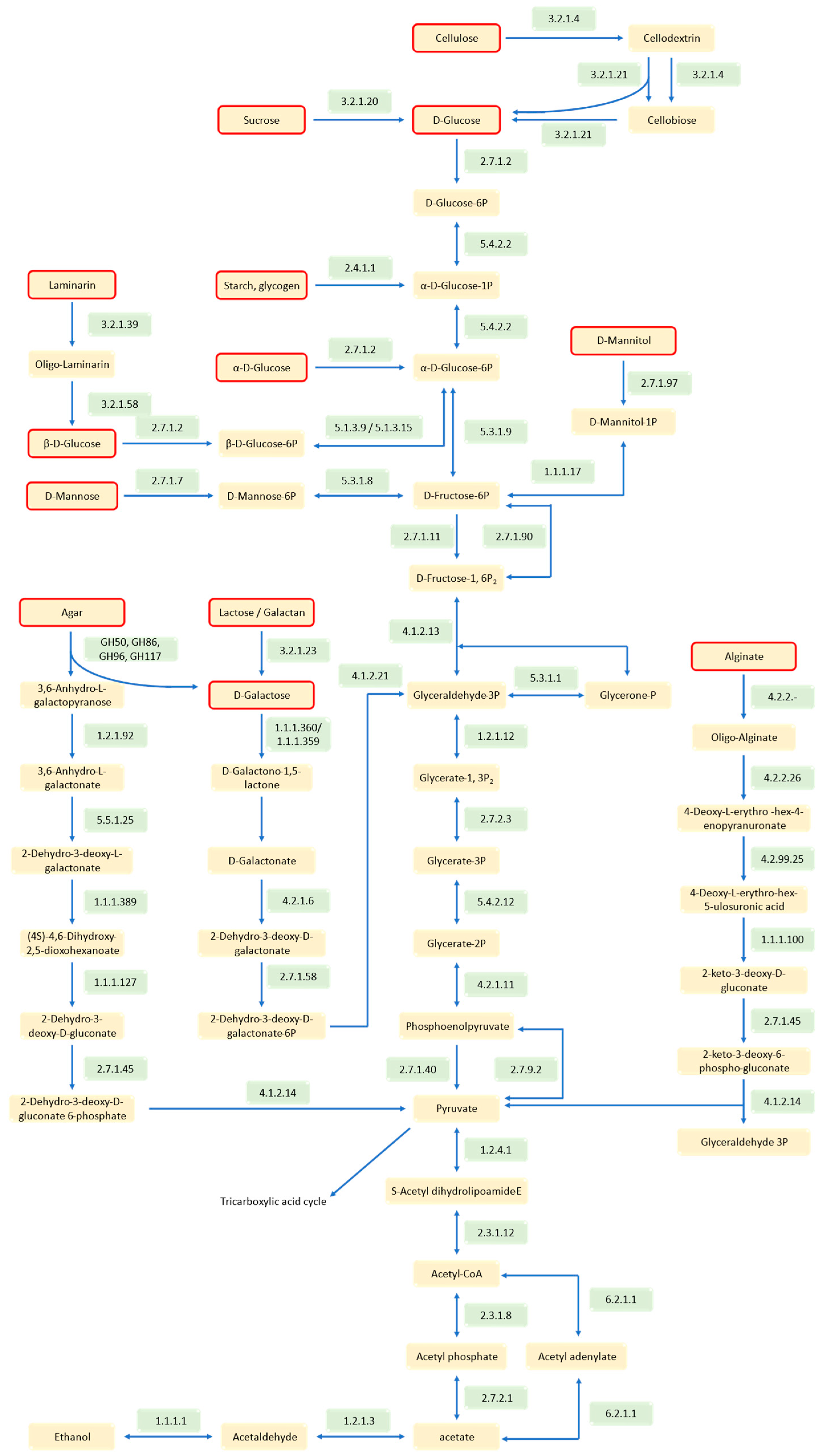 Marinedrugs 22 00569 g009