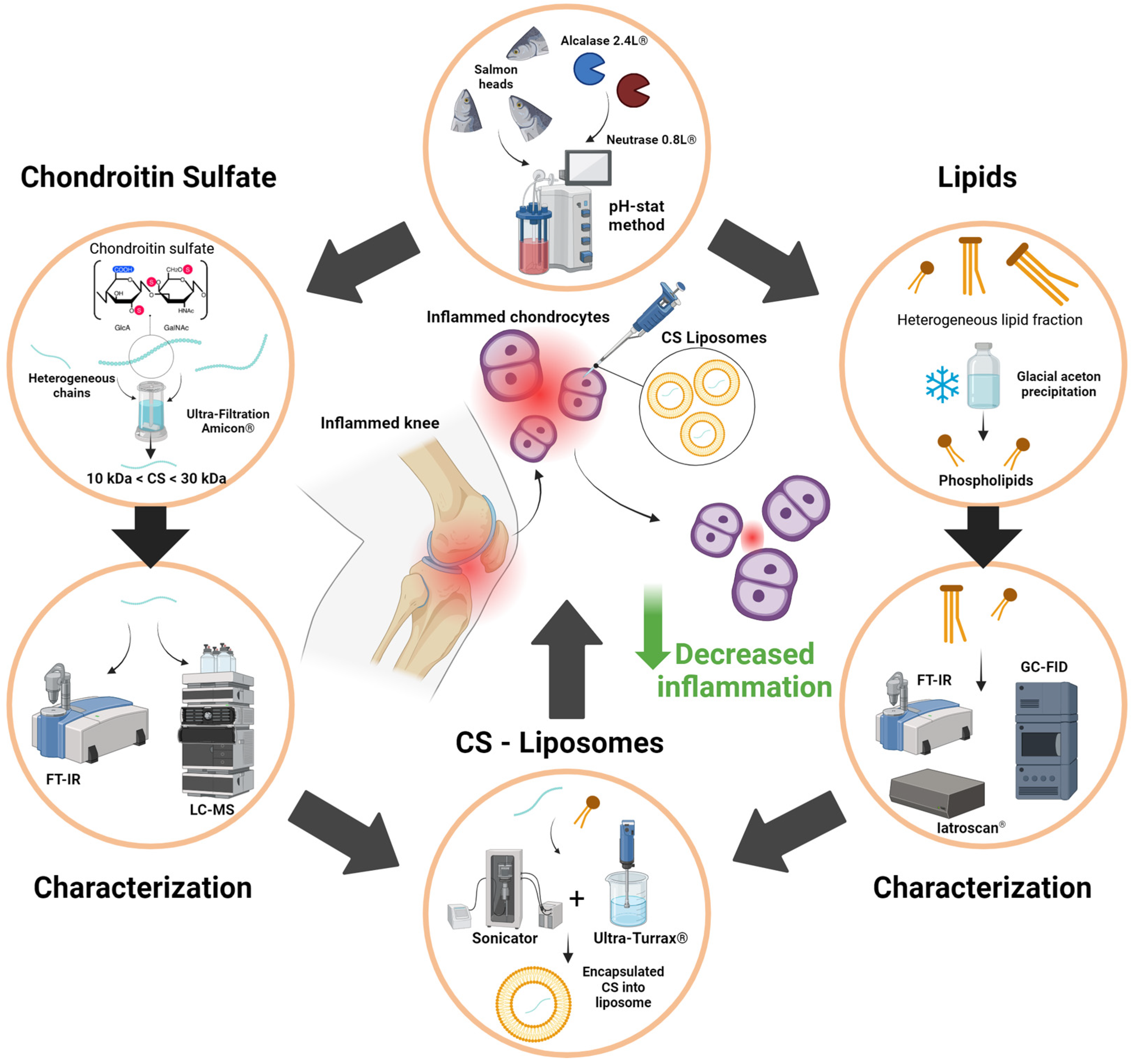 Marinedrugs 22 00571 g006
