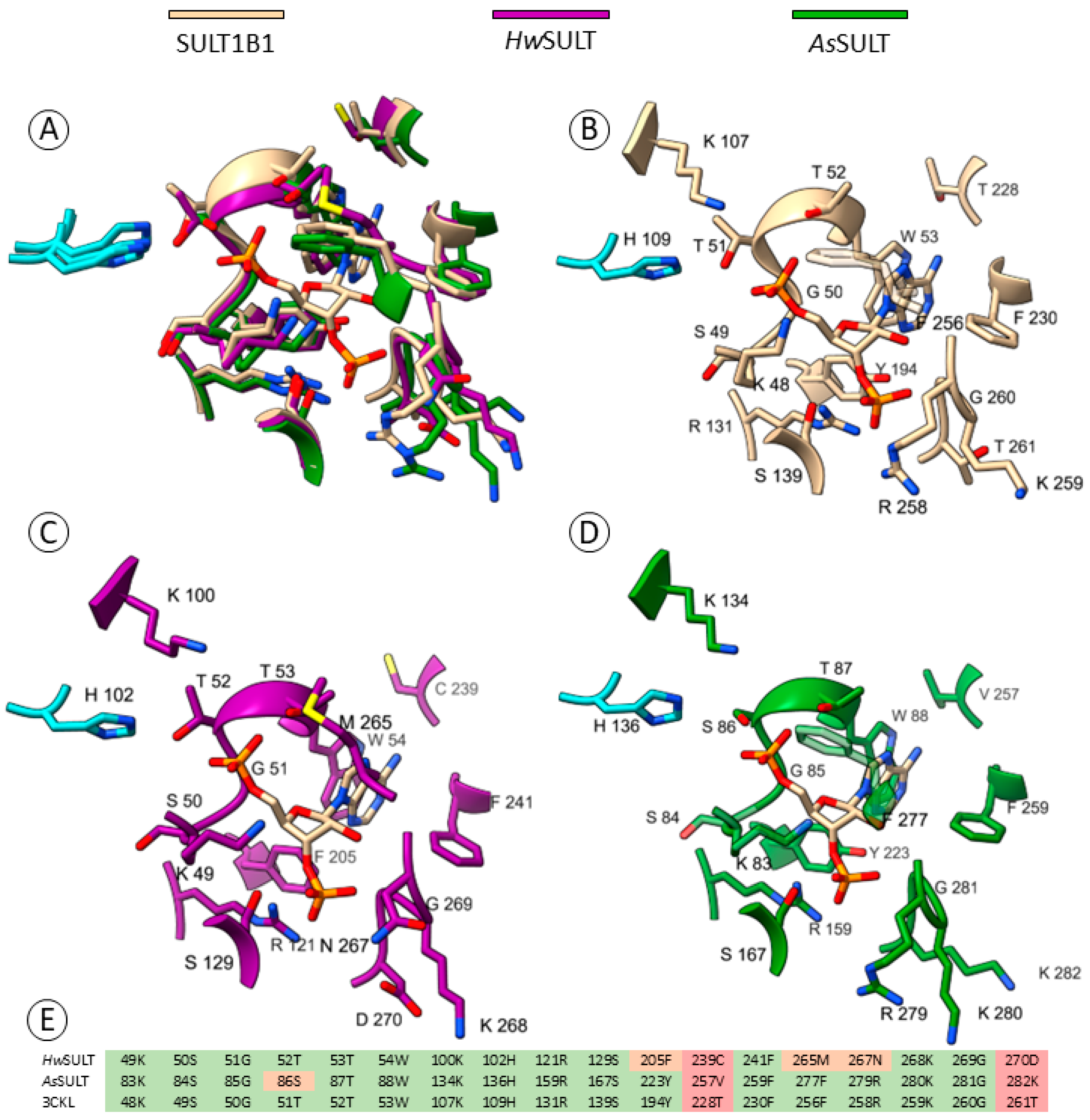 Marinedrugs 22 00572 g006 Marinedrugs 22 00572 g006