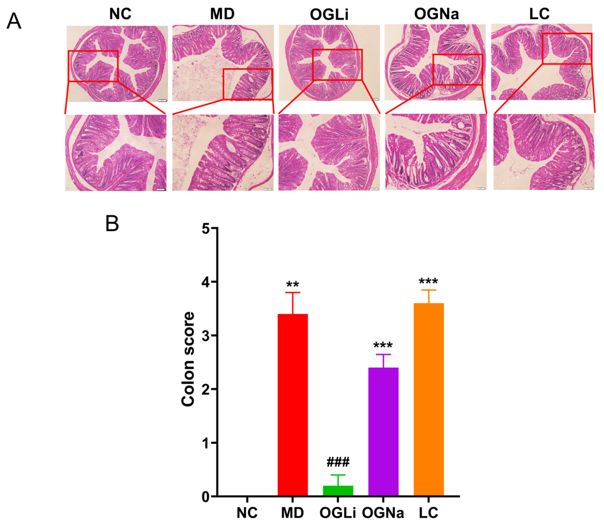 Marinedrugs 22 00573 g004