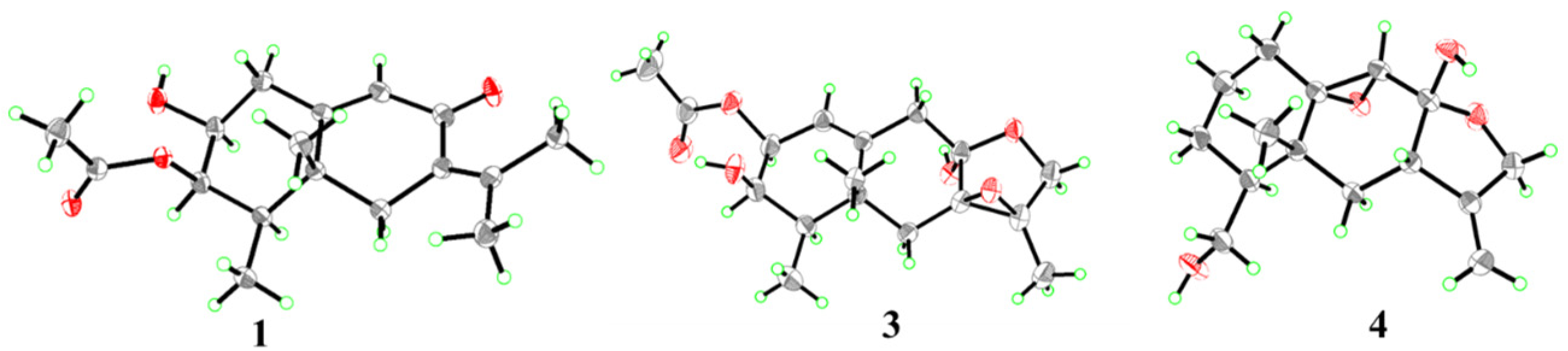 Marinedrugs 22 00574 g003