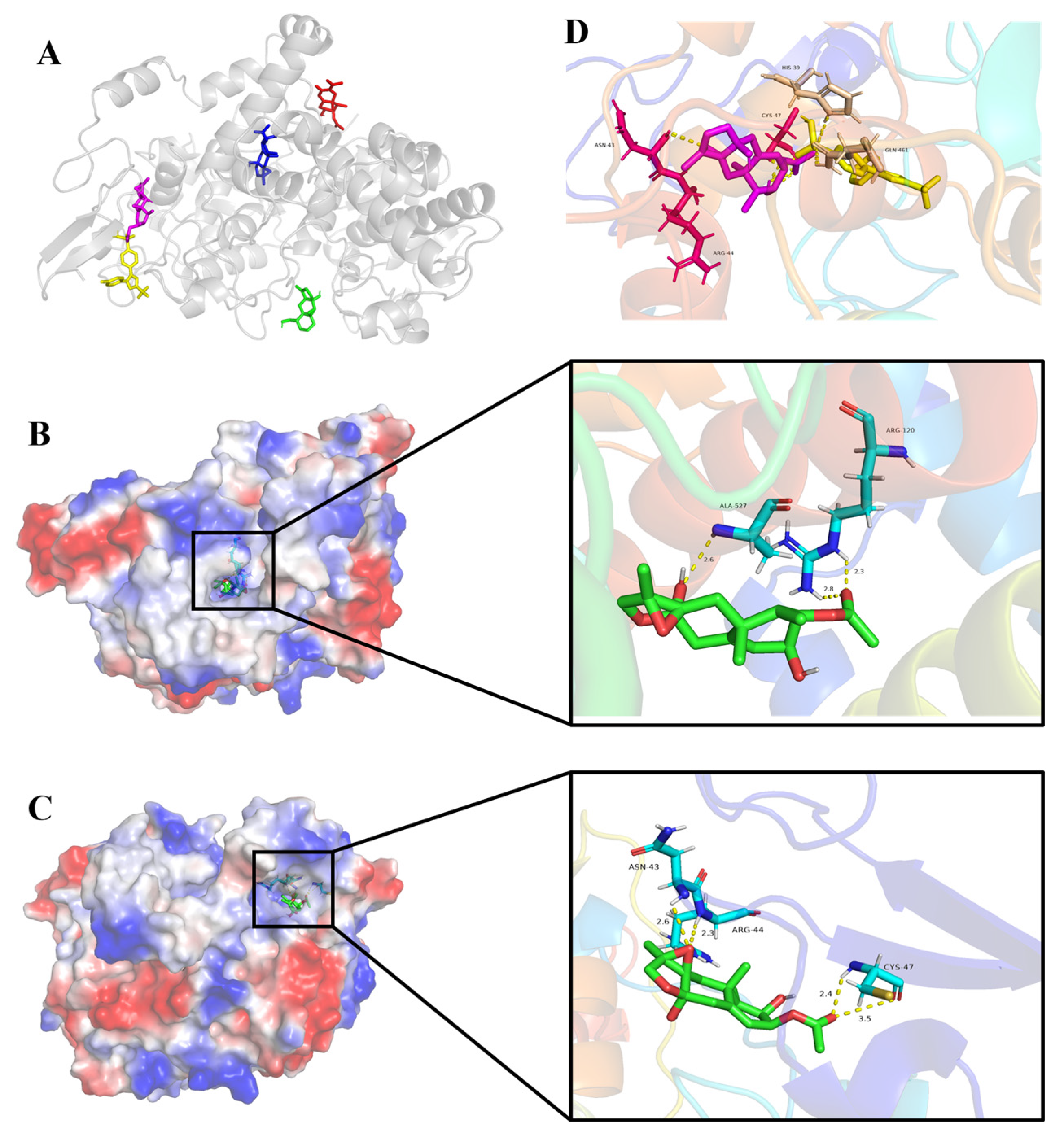 Marinedrugs 22 00574 g007