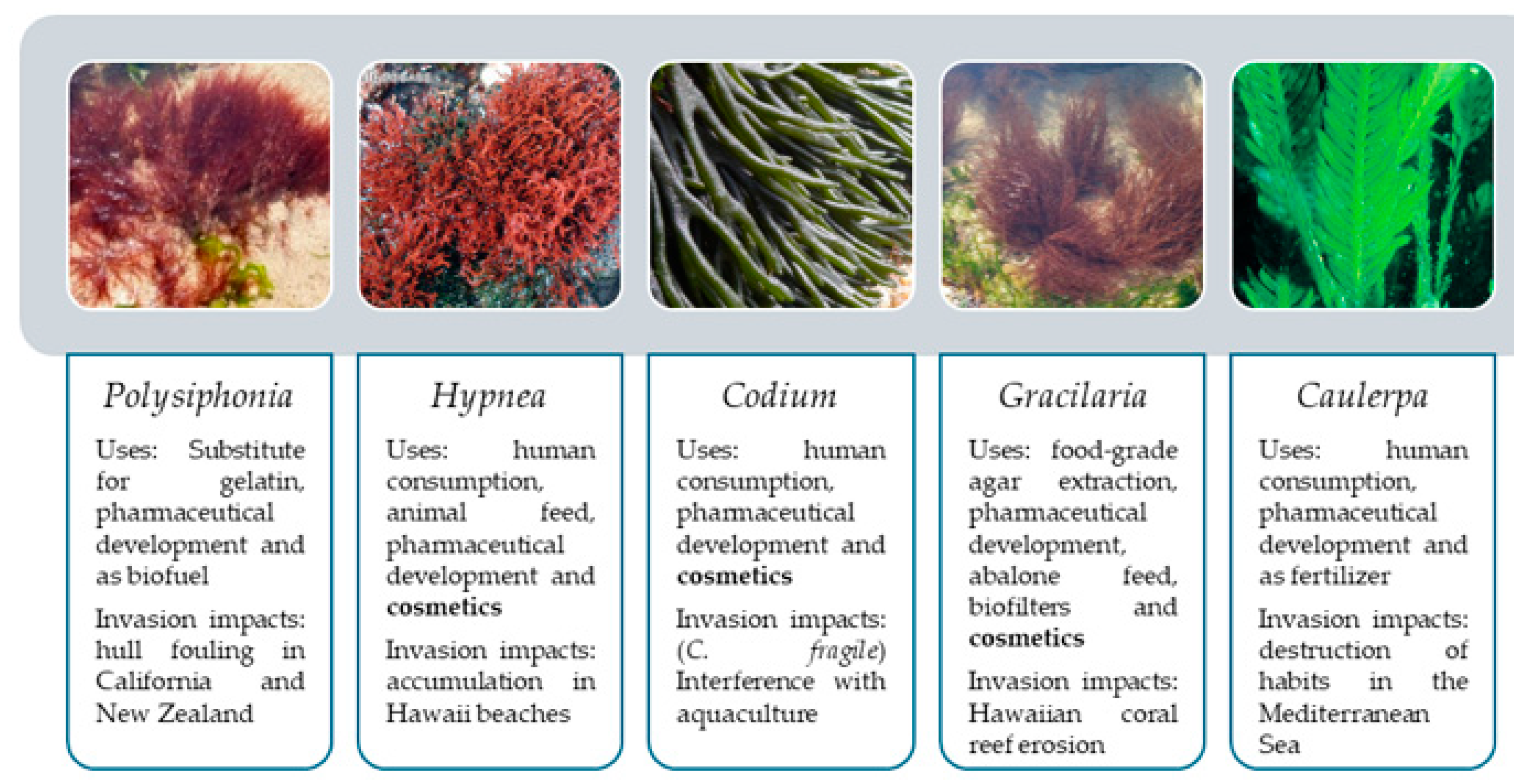 Marinedrugs 22 00575 g002