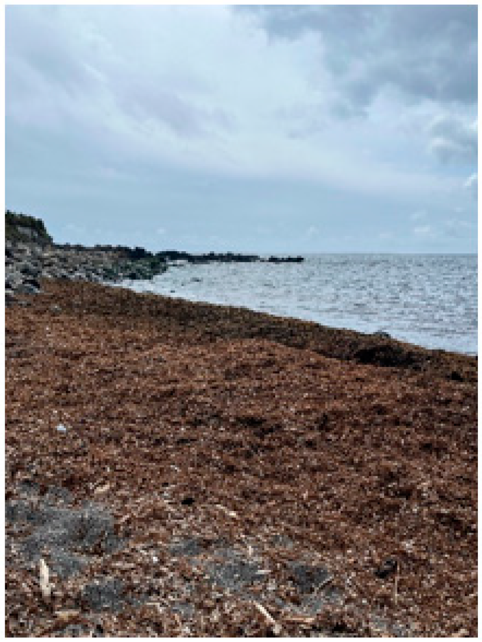 Marinedrugs 22 00575 g005