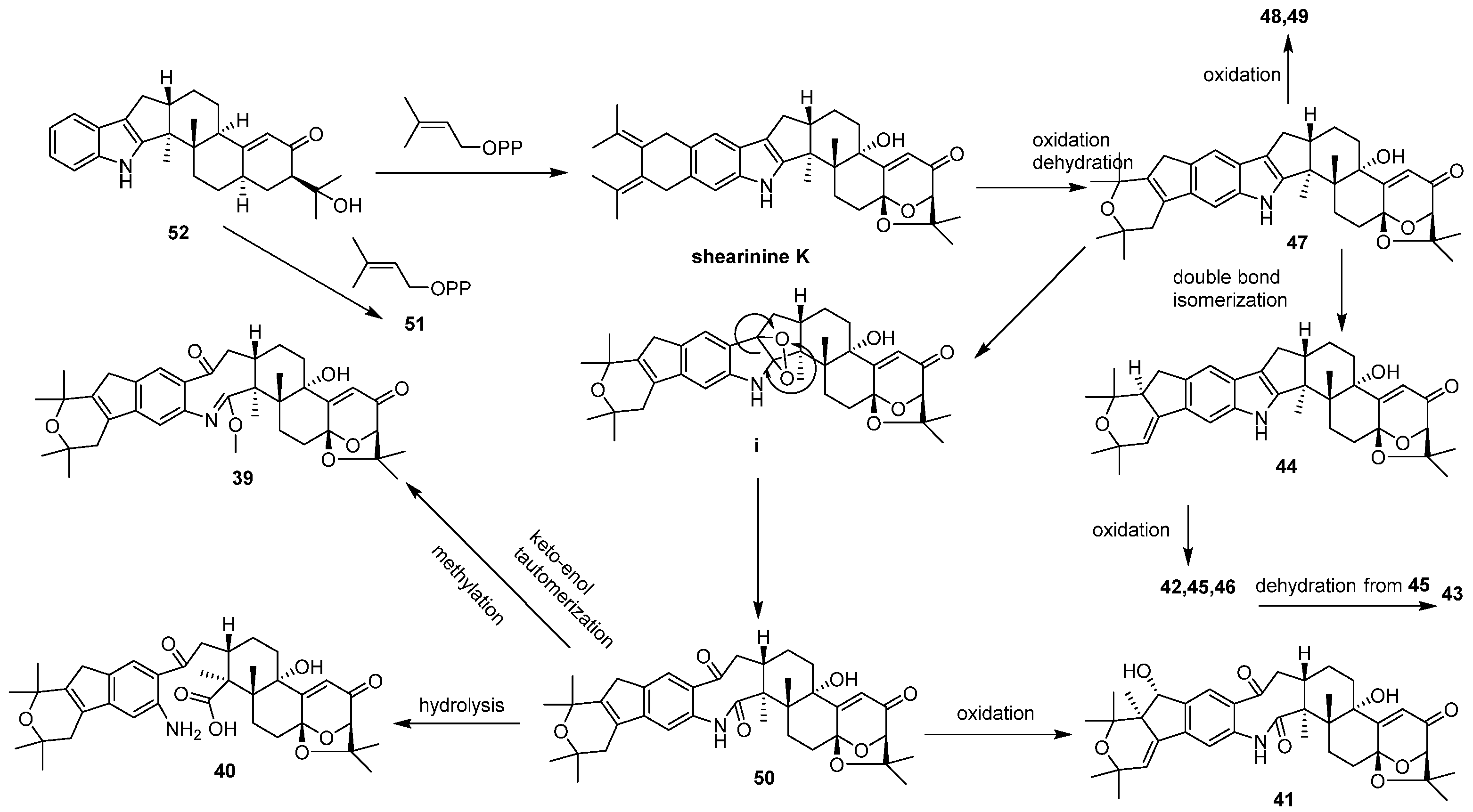 Marinedrugs 23 00007 sch001