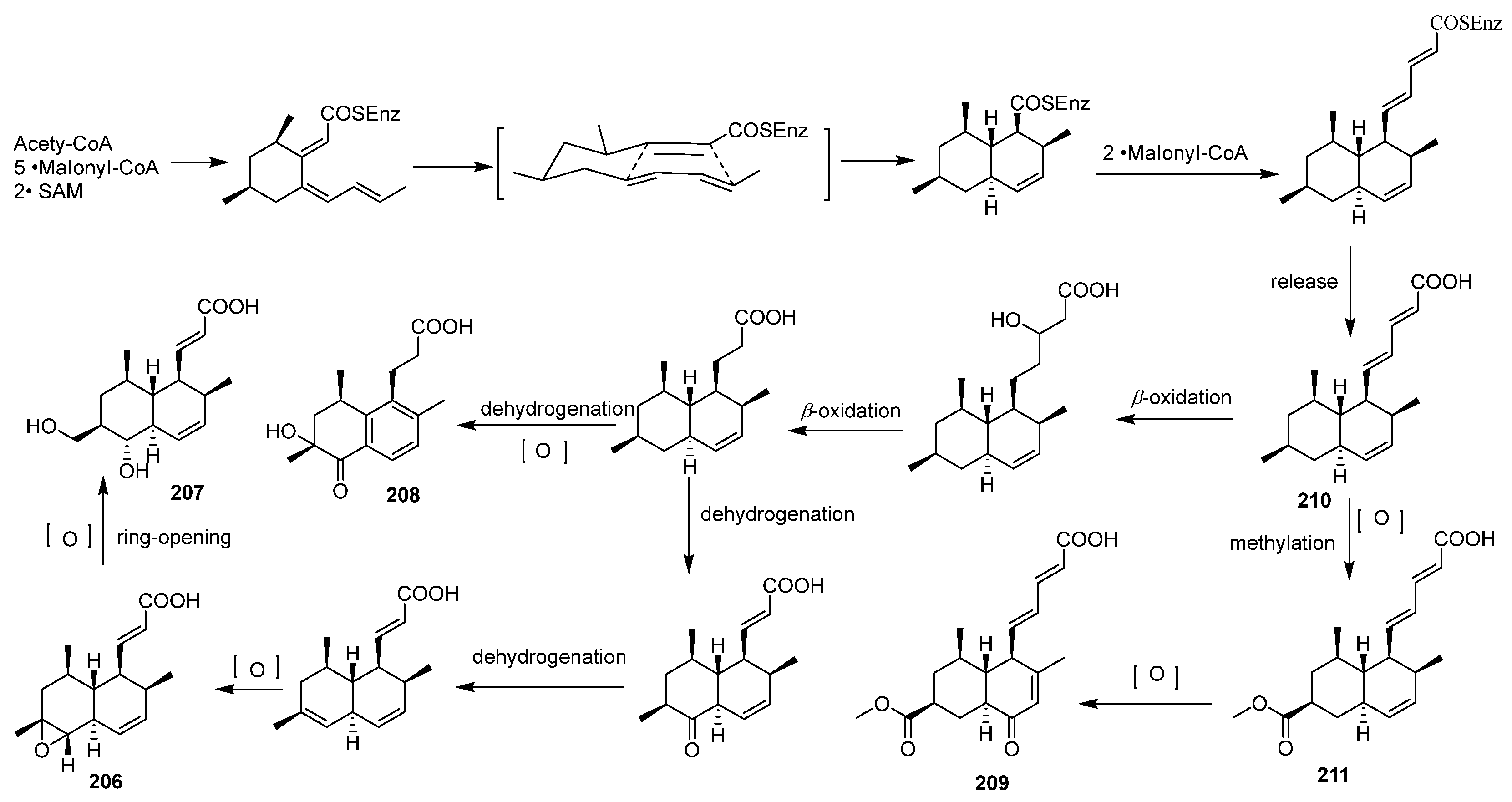 Marinedrugs 23 00007 sch003