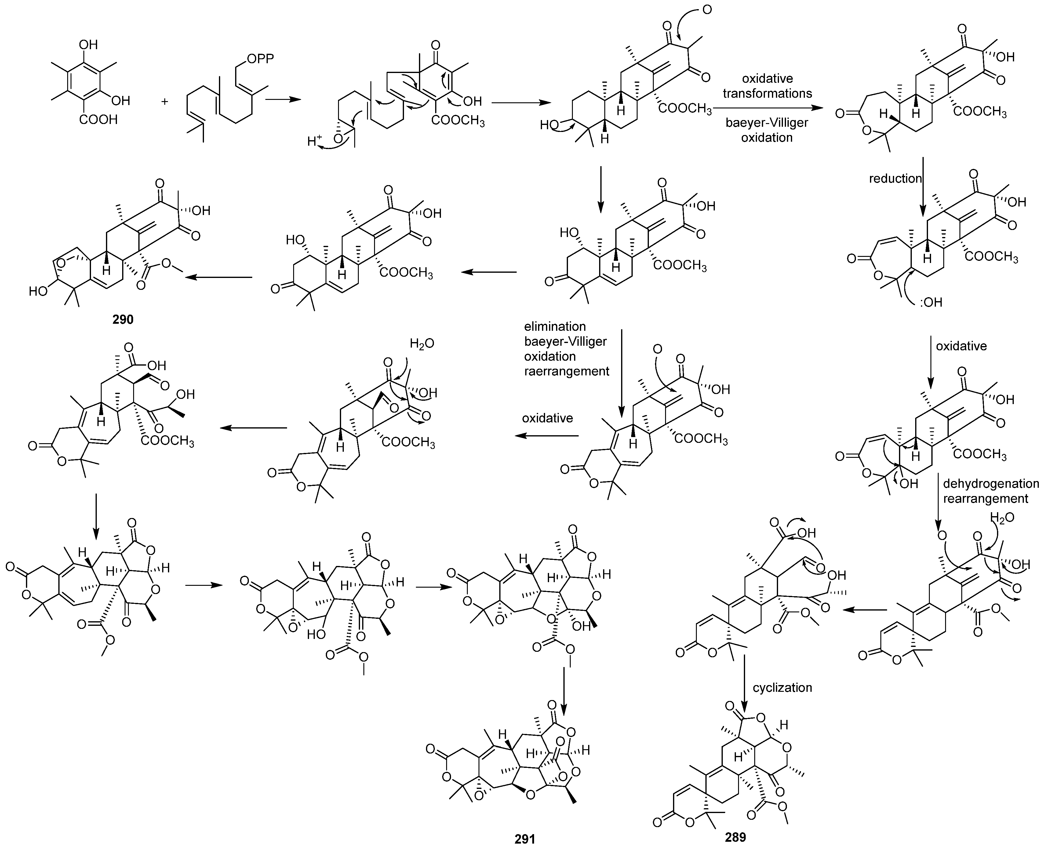 Marinedrugs 23 00007 sch005