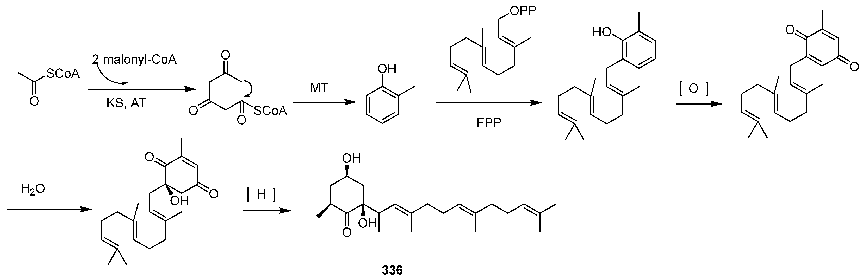 Marinedrugs 23 00007 sch007