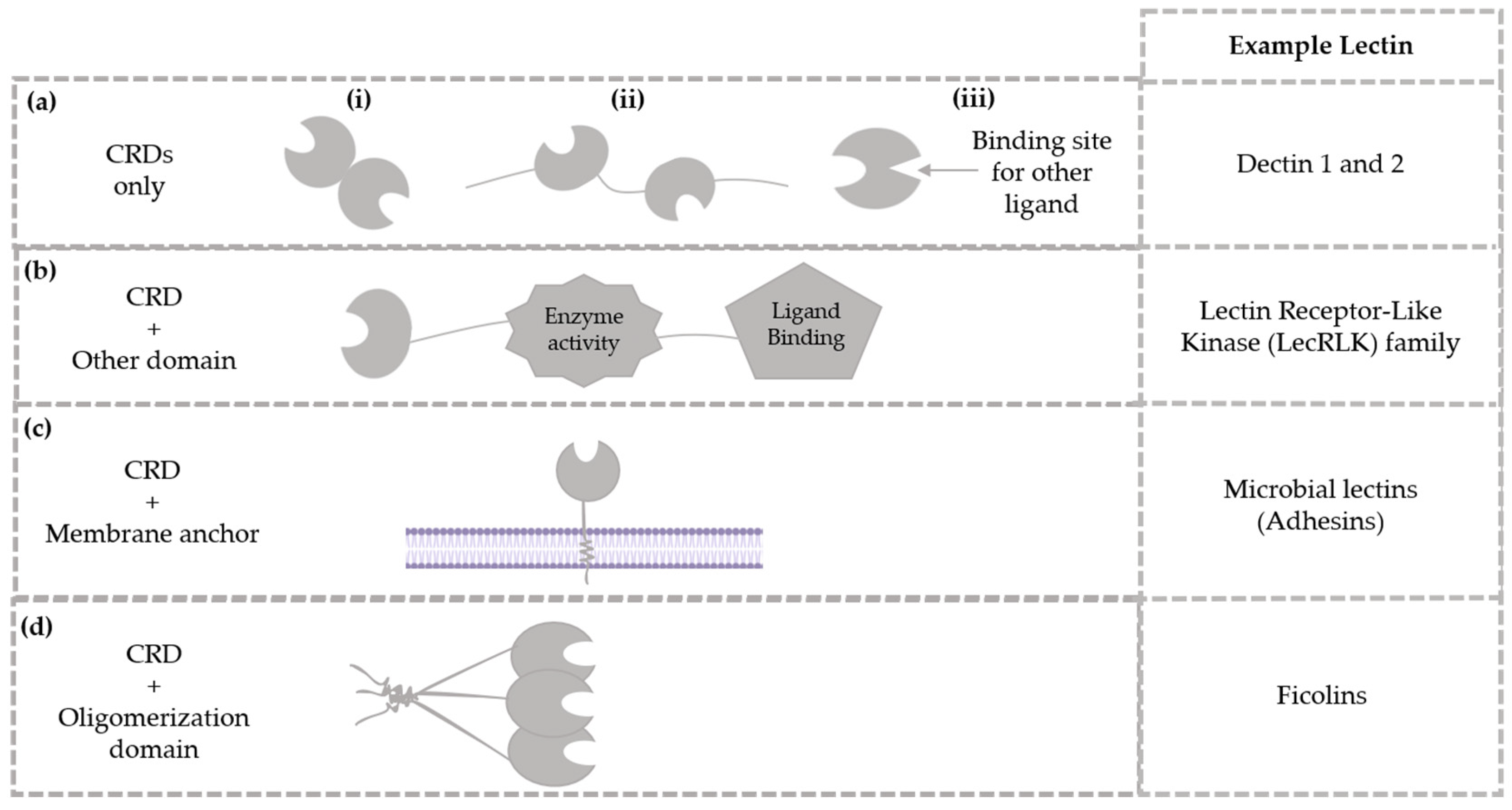 Marinedrugs 23 00008 g001