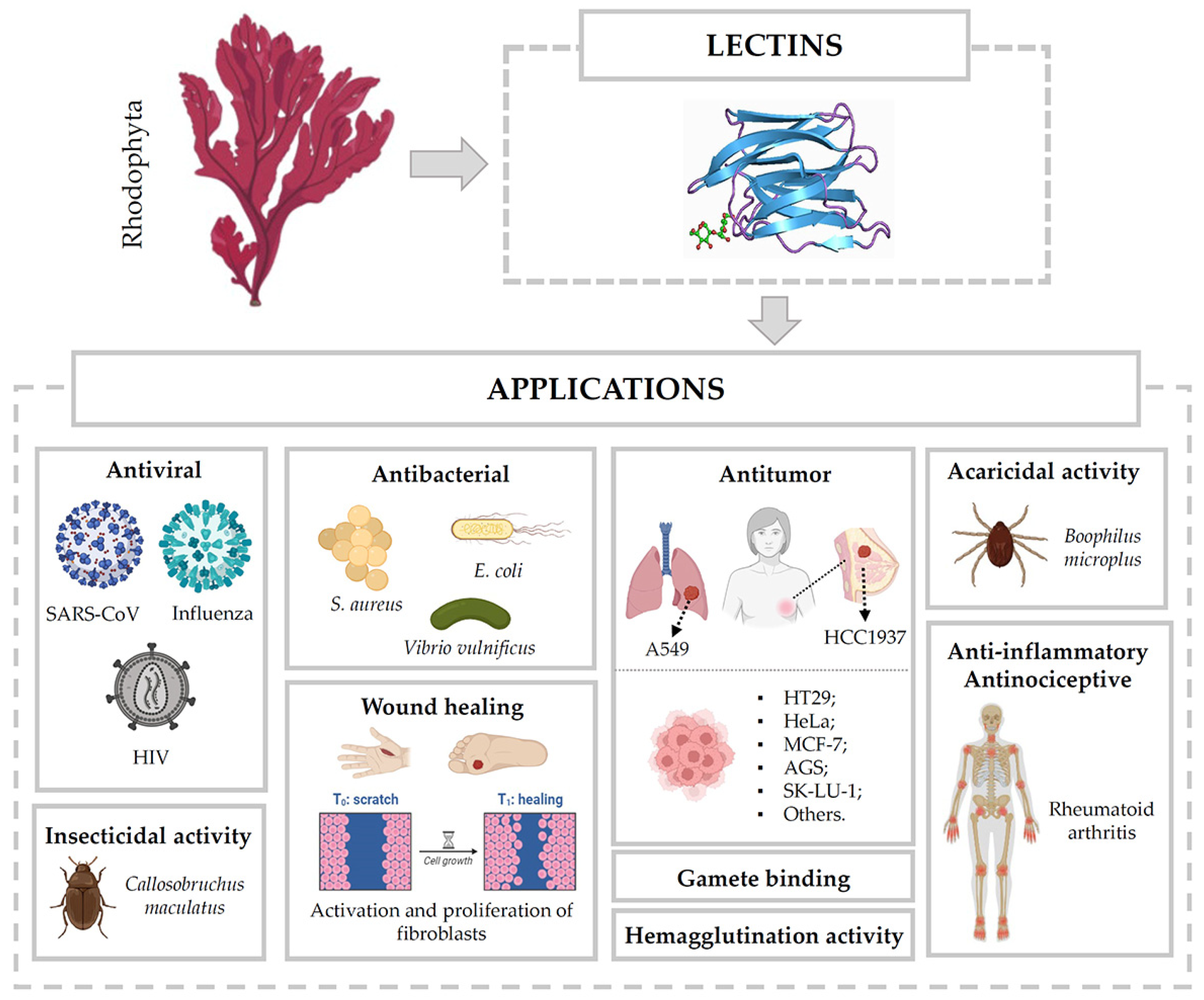 Marinedrugs 23 00008 g002