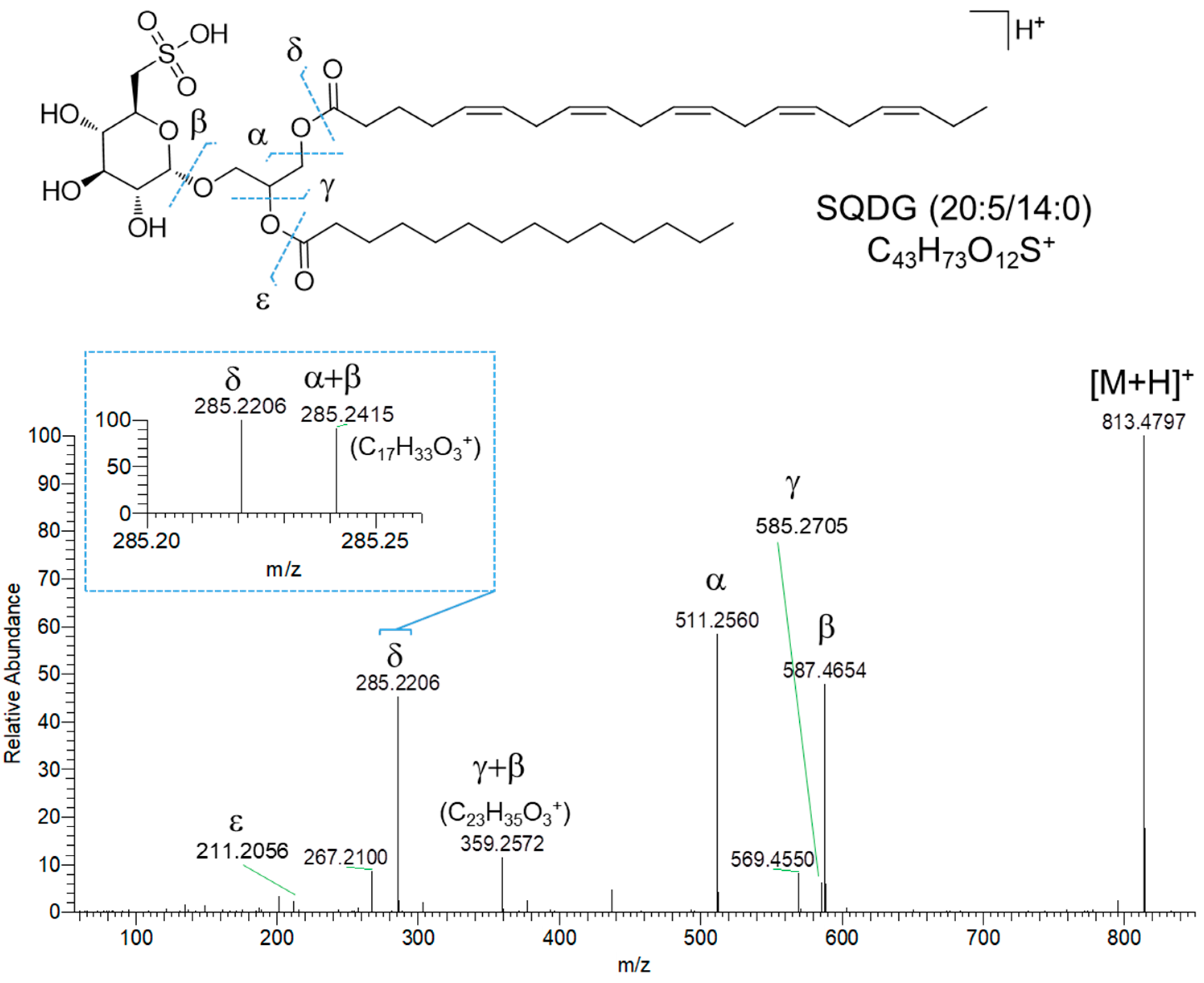Marinedrugs 23 00012 g006