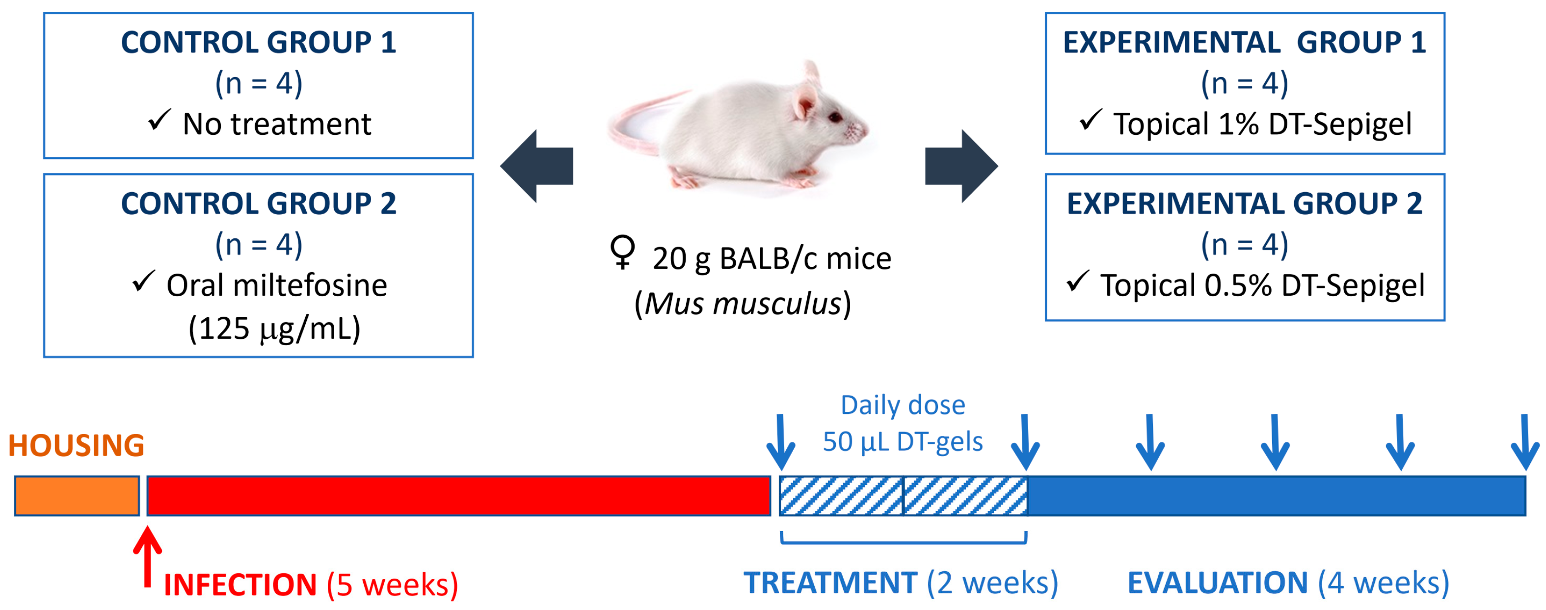 Marinedrugs 23 00013 g003