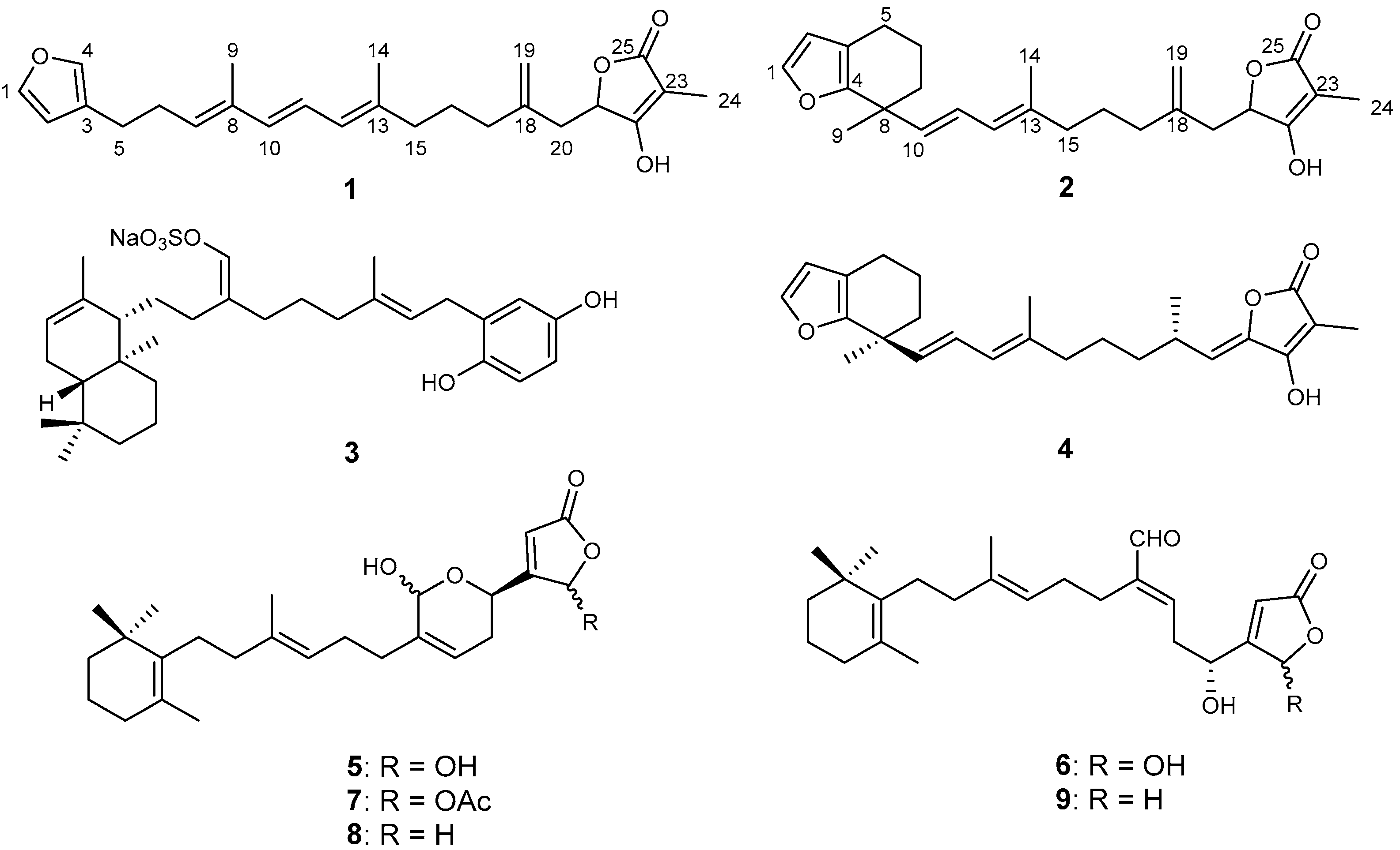 Marinedrugs 23 00016 g001