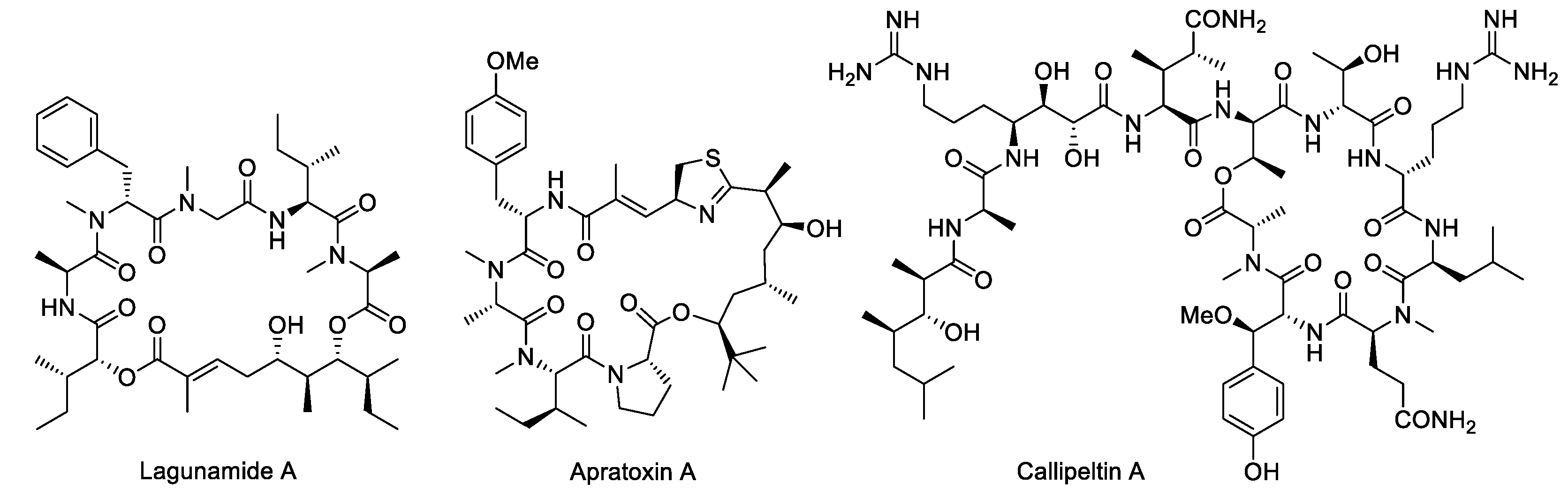 Marinedrugs 23 00020 g001 Marinedrugs 23 00020 g001