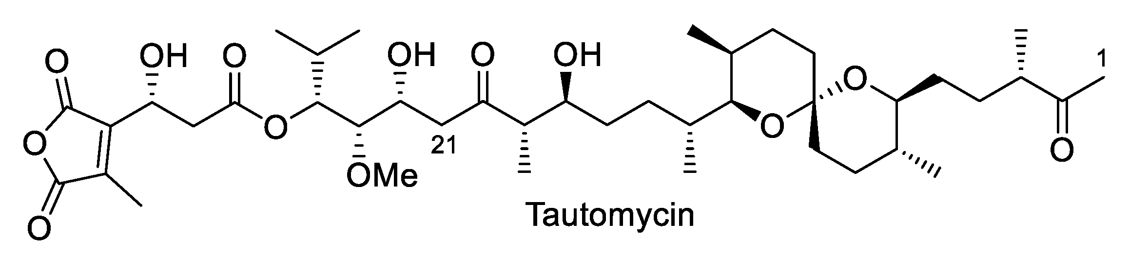 Marinedrugs 23 00020 g002 Marinedrugs 23 00020 g002