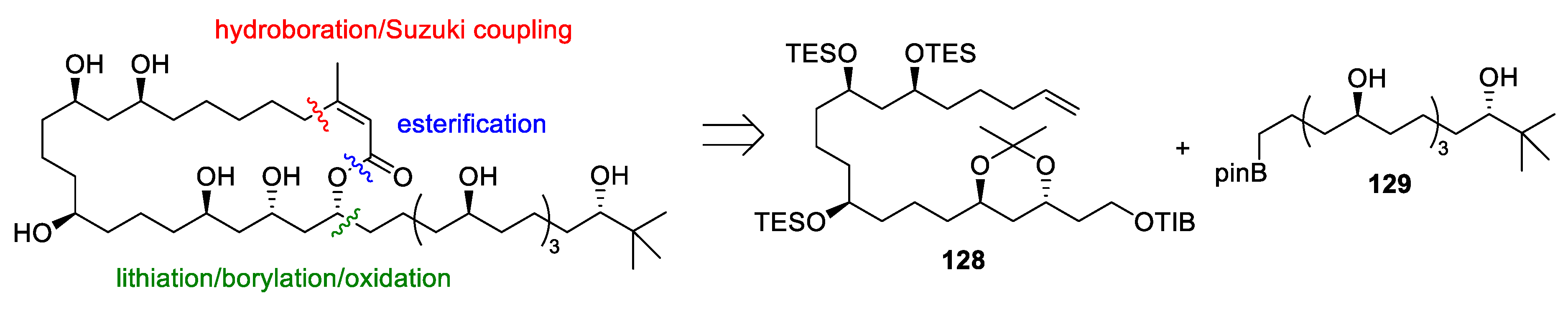 Marinedrugs 23 00020 g004 Marinedrugs 23 00020 g004