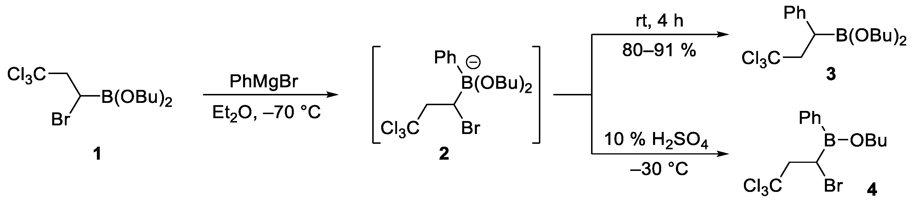 Marinedrugs 23 00020 sch001 Marinedrugs 23 00020 sch001