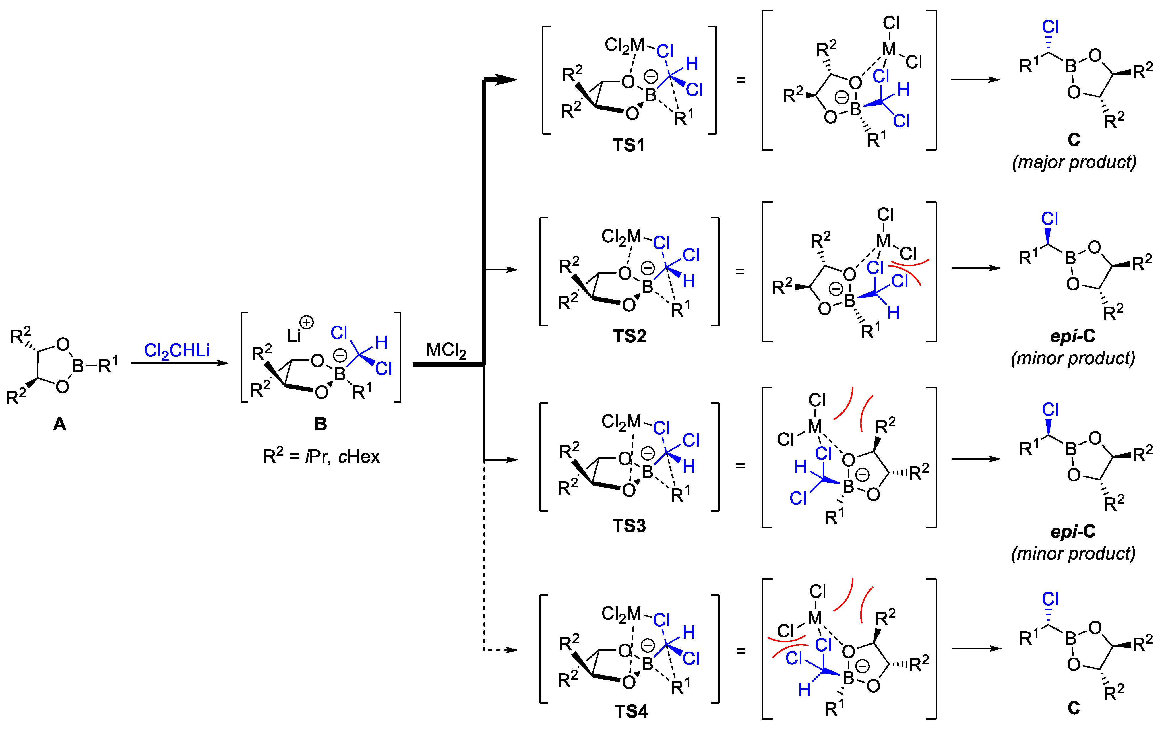Marinedrugs 23 00020 sch003 Marinedrugs 23 00020 sch003