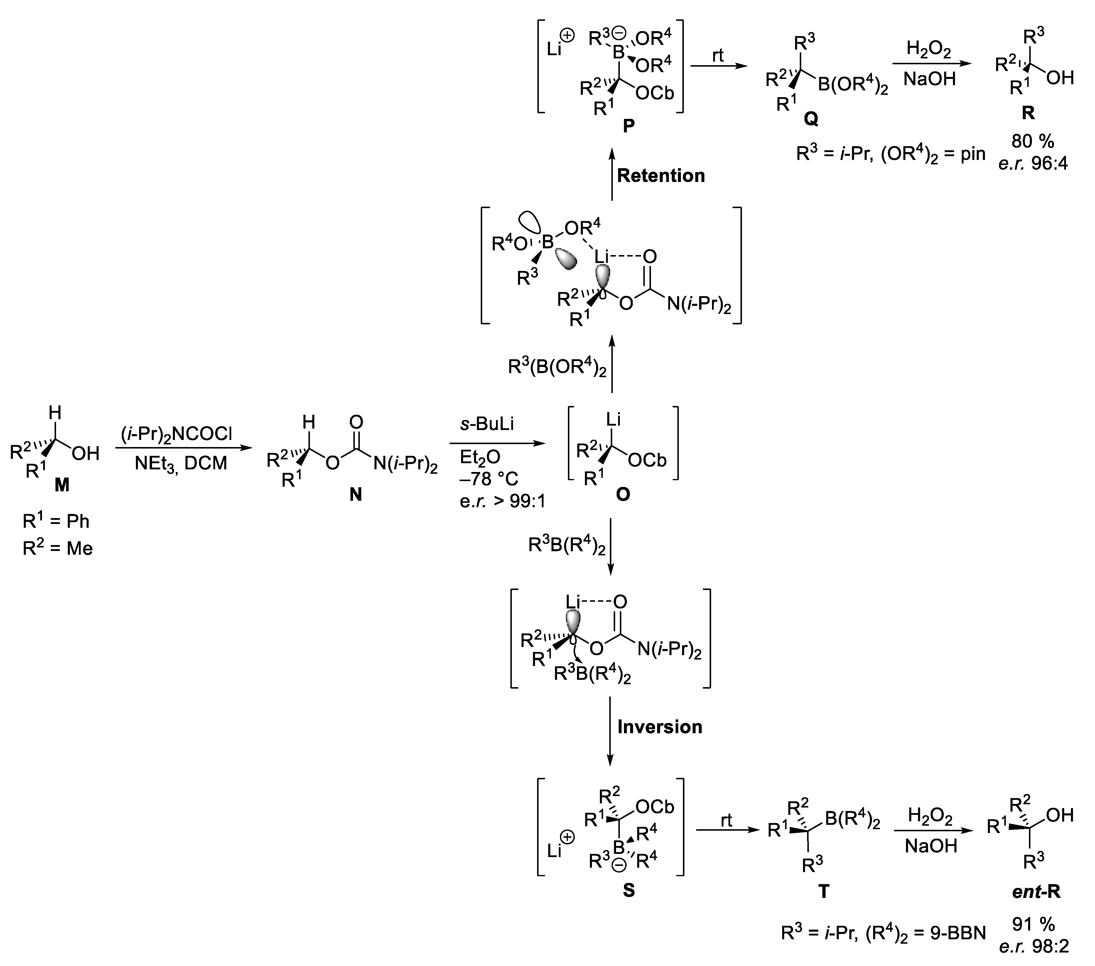 Marinedrugs 23 00020 sch006 Marinedrugs 23 00020 sch006