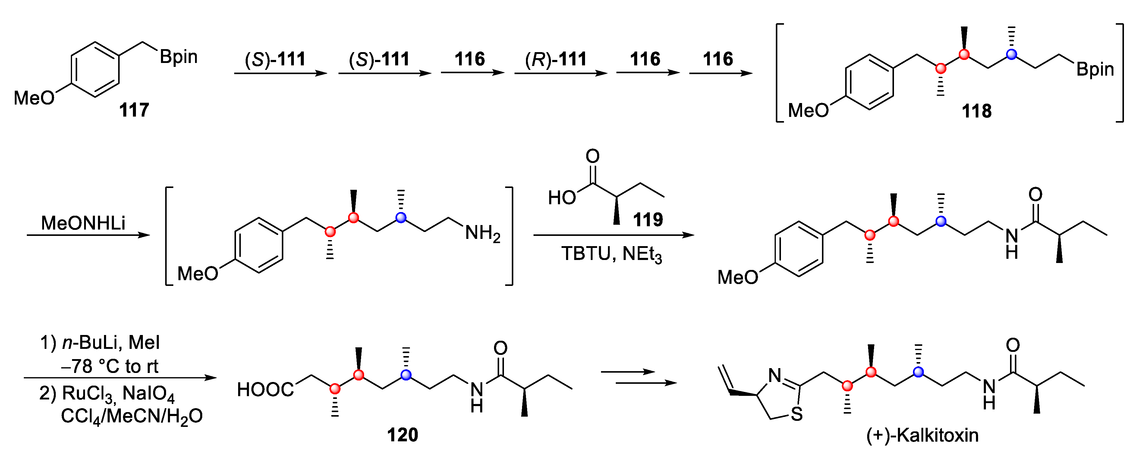Marinedrugs 23 00020 sch028