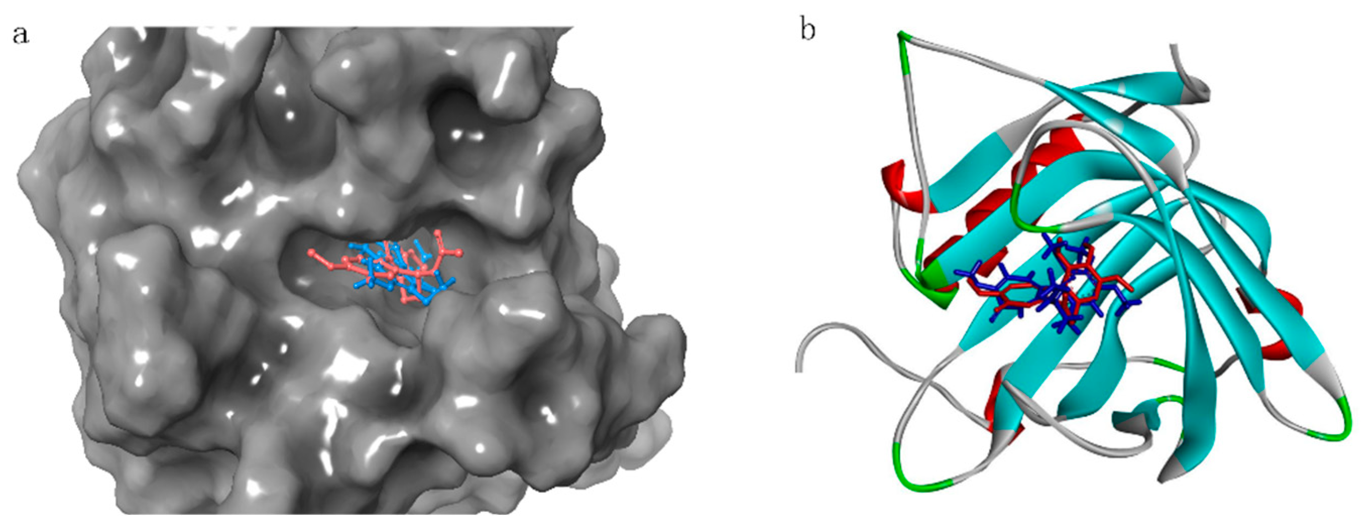 Marinedrugs 23 00024 g008