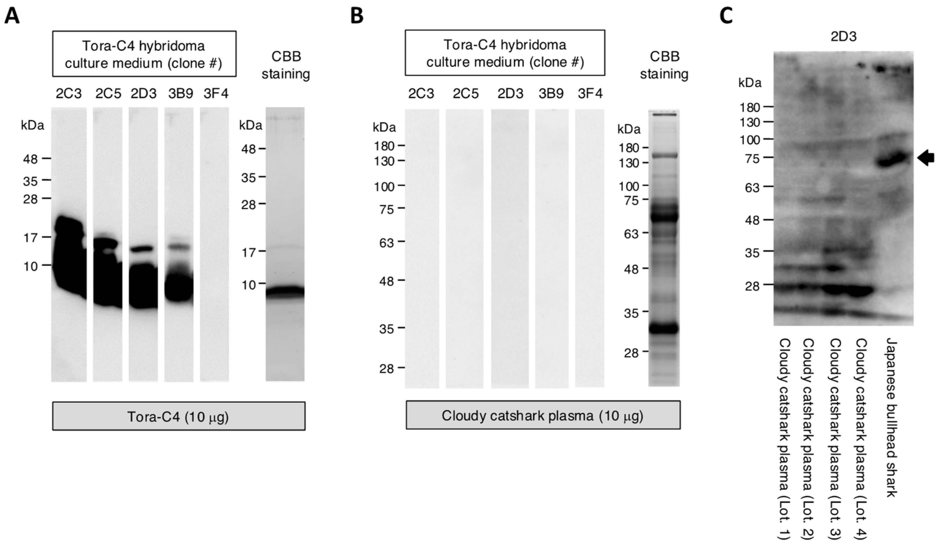 Marinedrugs 23 00028 g004