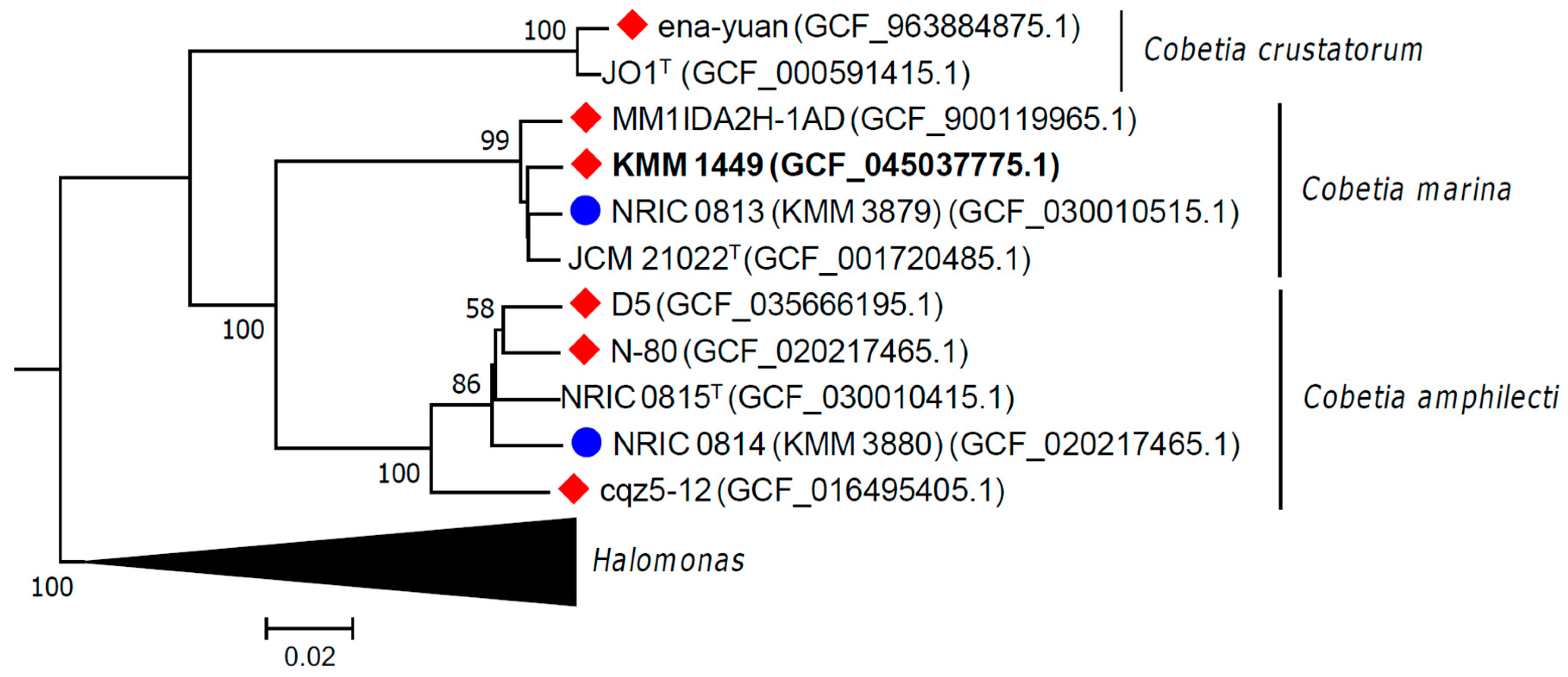 Marinedrugs 23 00029 g005