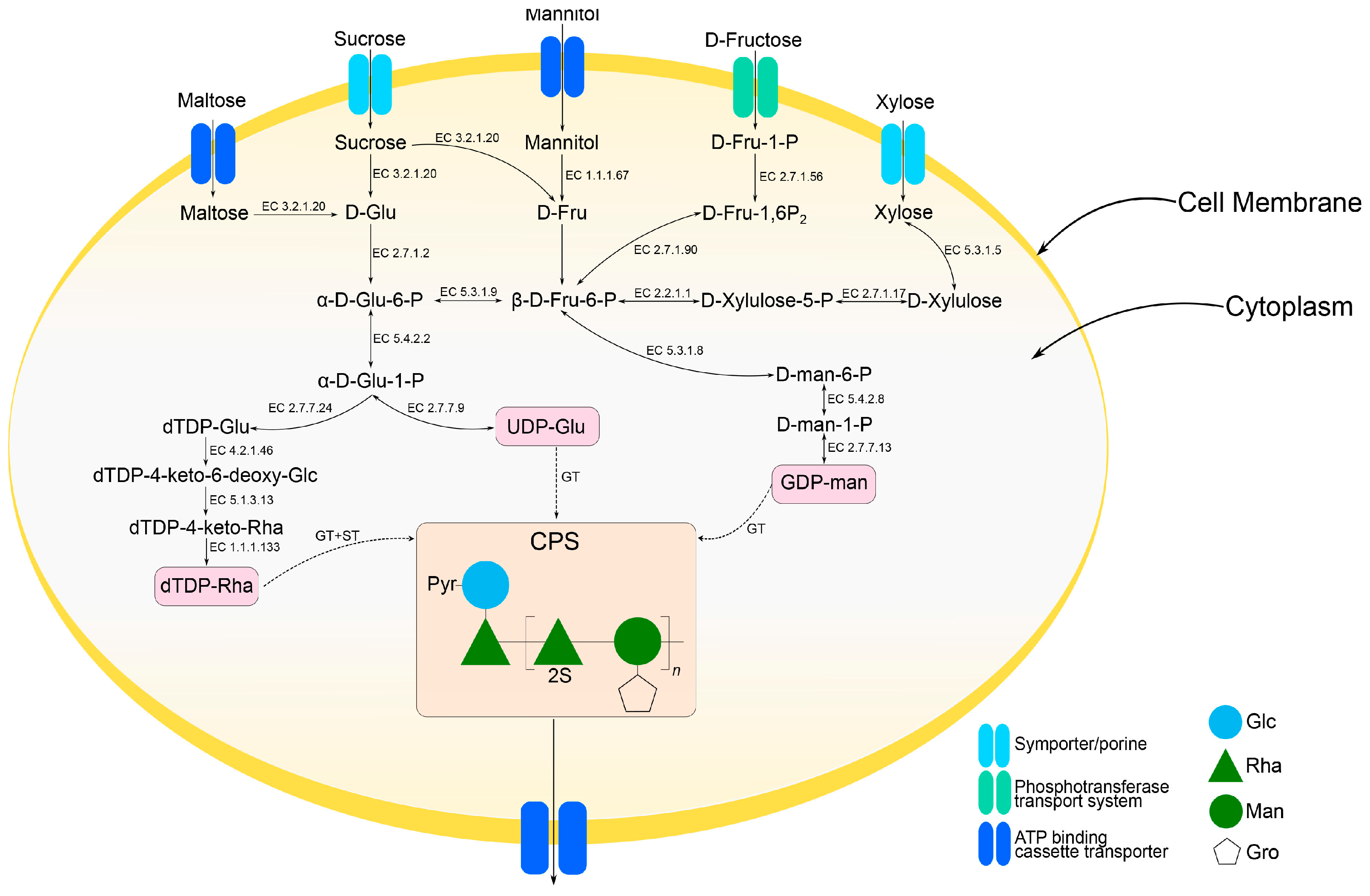 Marinedrugs 23 00029 g007
