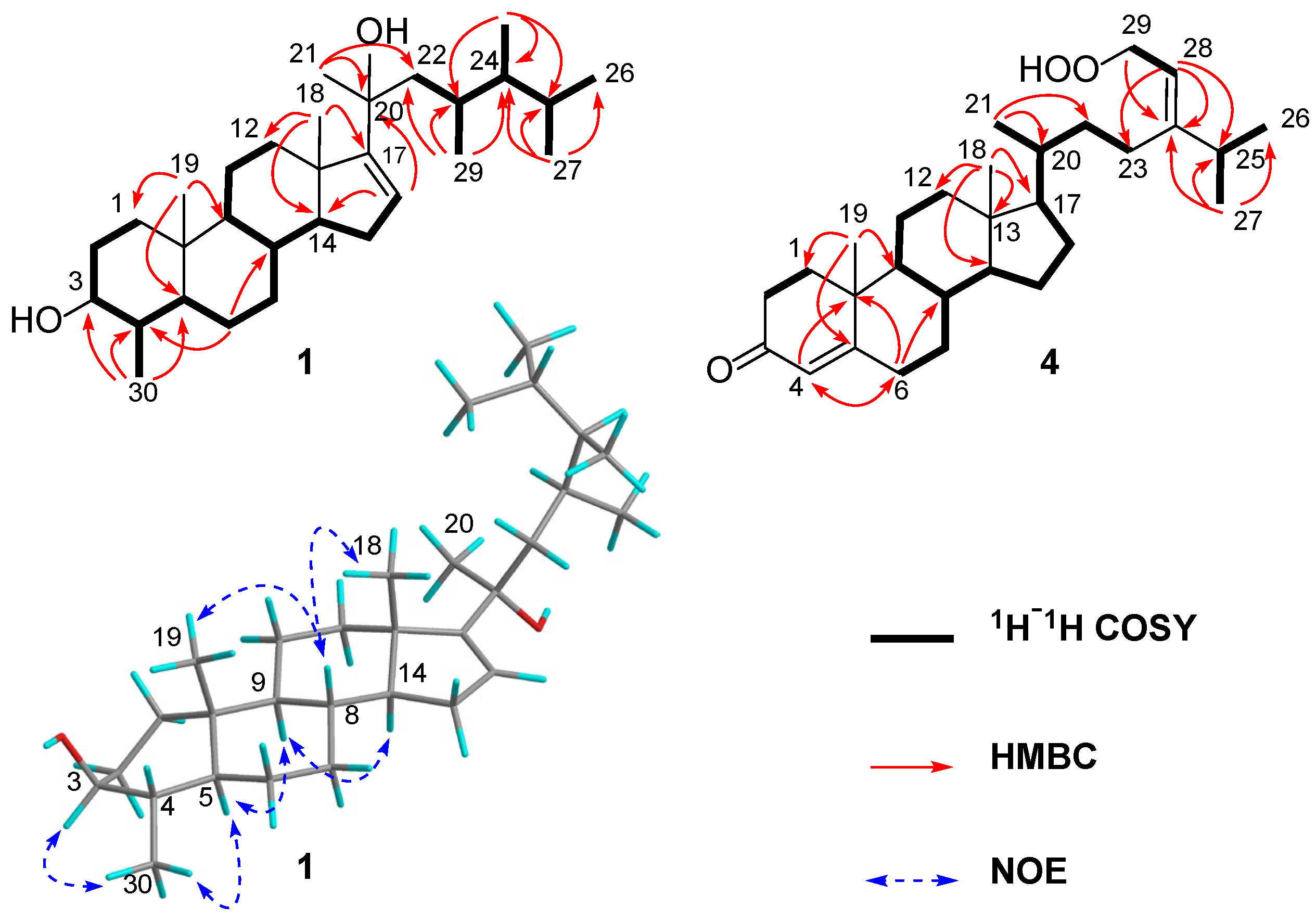 Marinedrugs 23 00036 g002