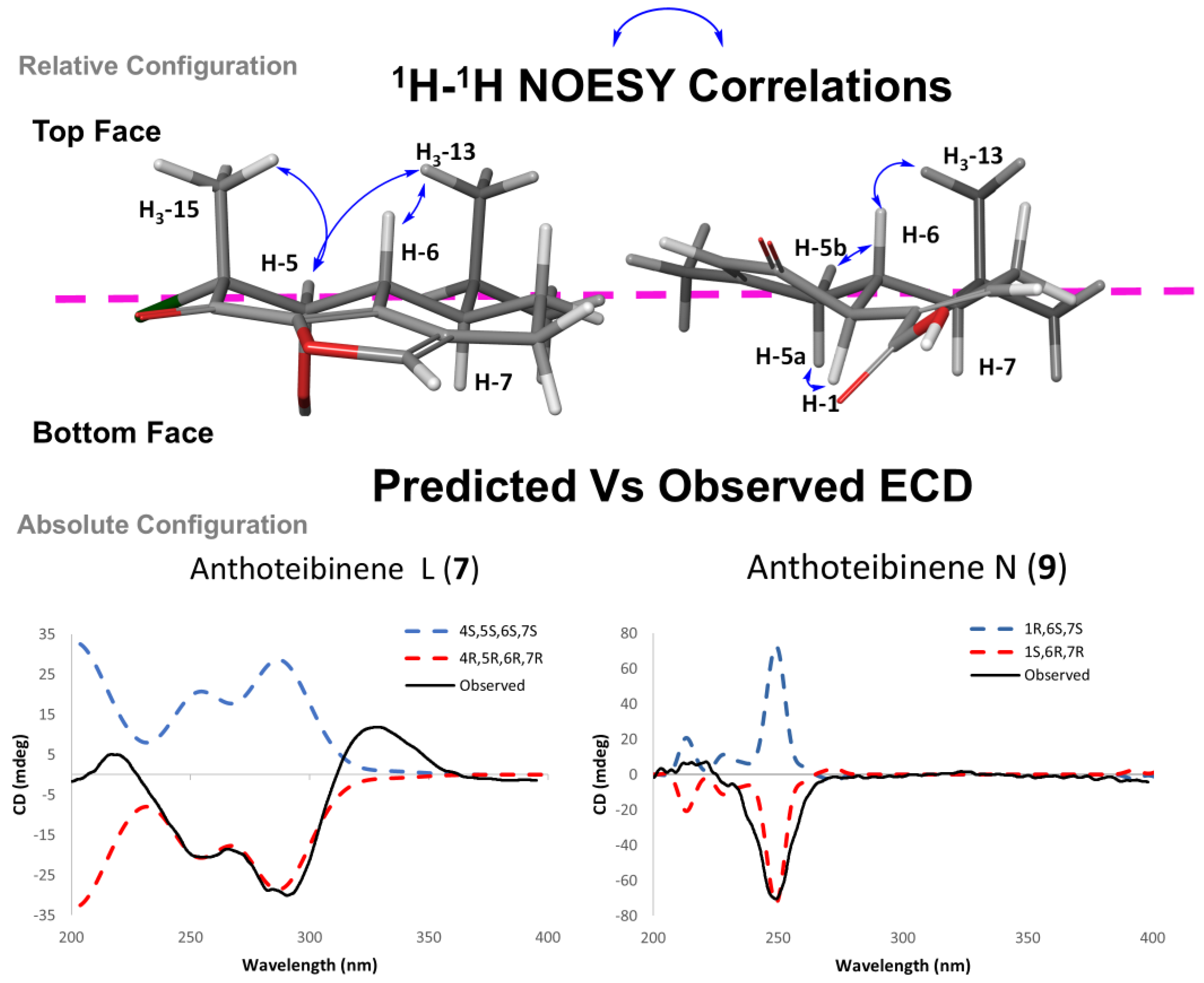 Marinedrugs 23 00044 g006