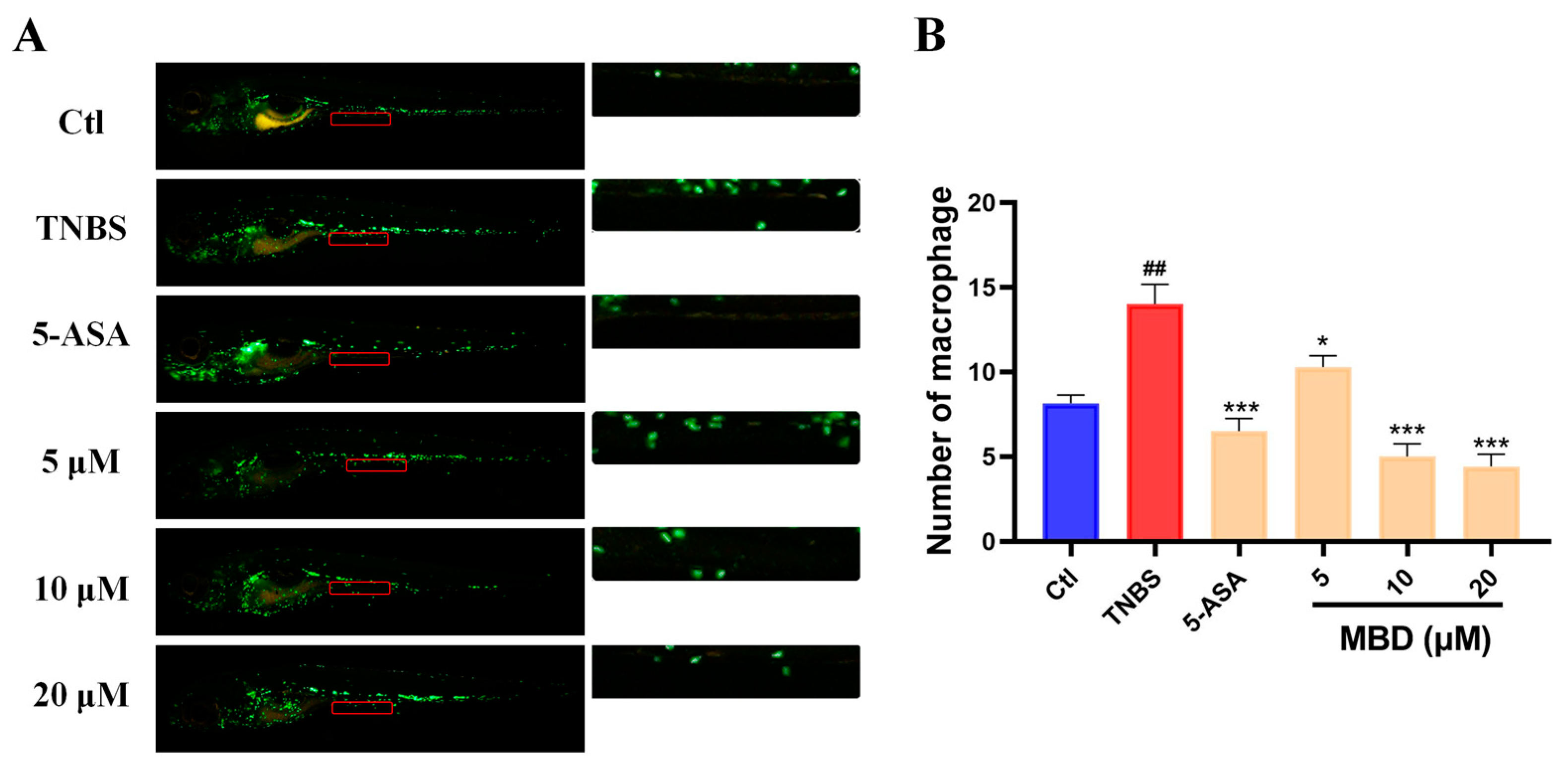 Marinedrugs 23 00047 g002 Marinedrugs 23 00047 g002