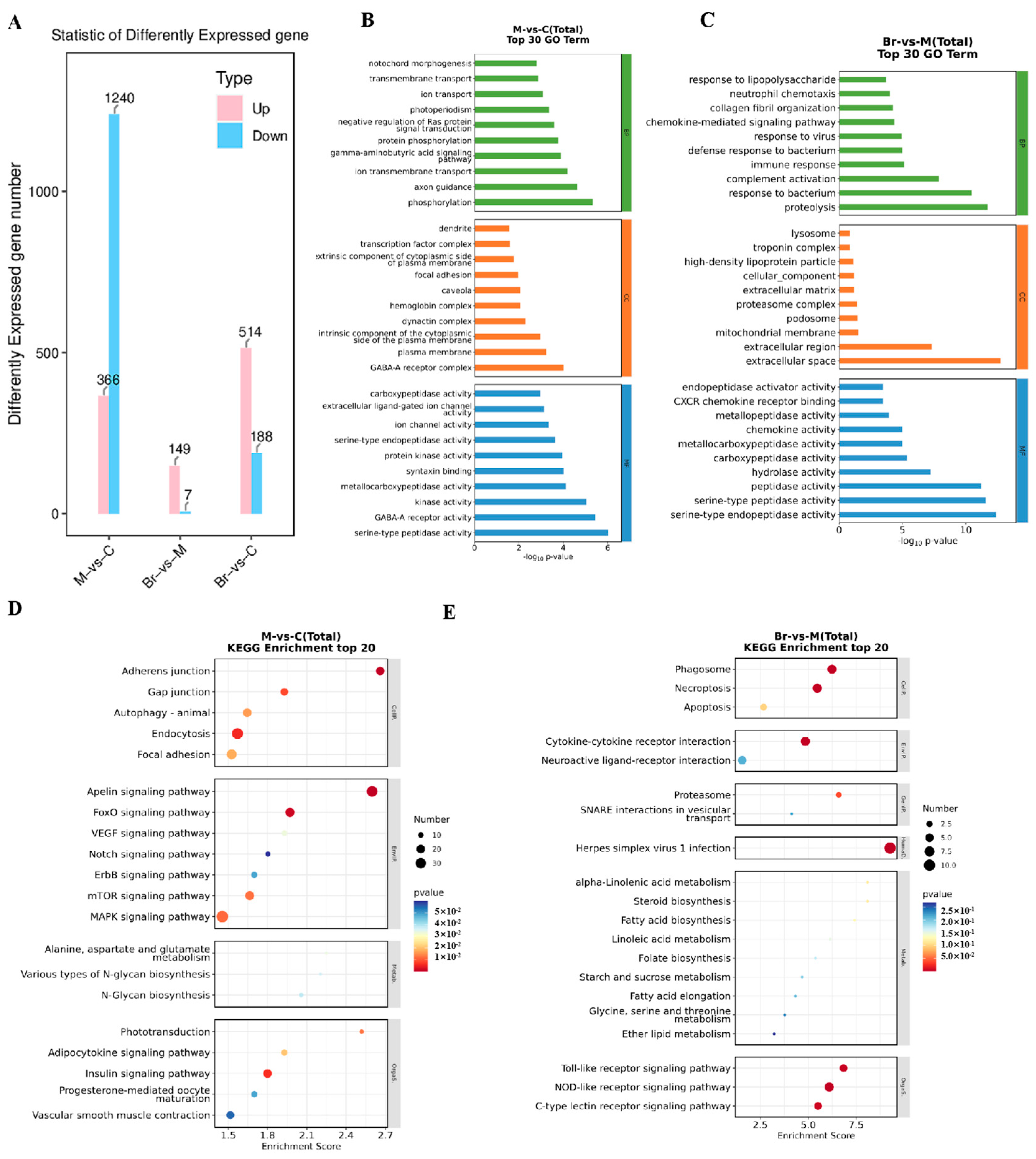 Marinedrugs 23 00047 g007 Marinedrugs 23 00047 g007