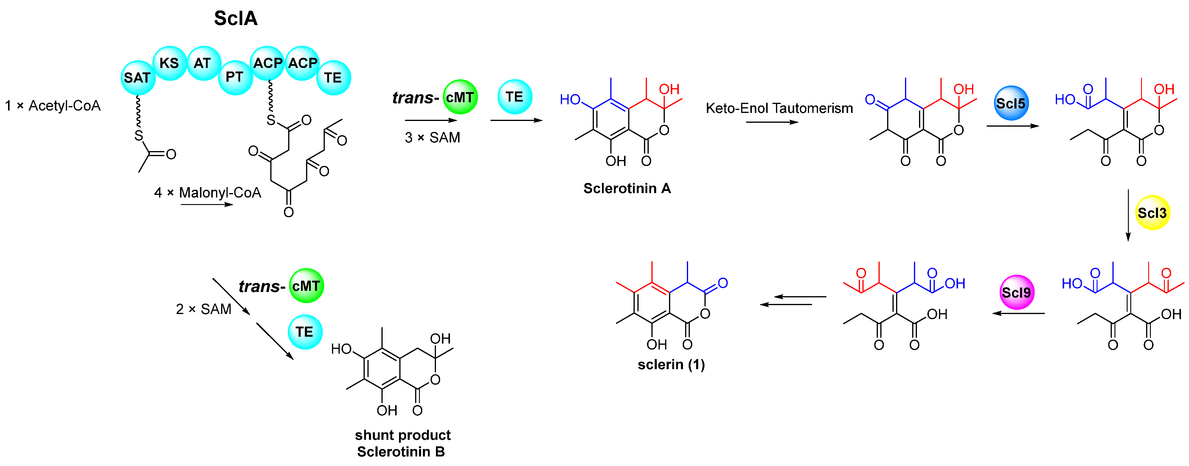 Marinedrugs 23 00050 g004